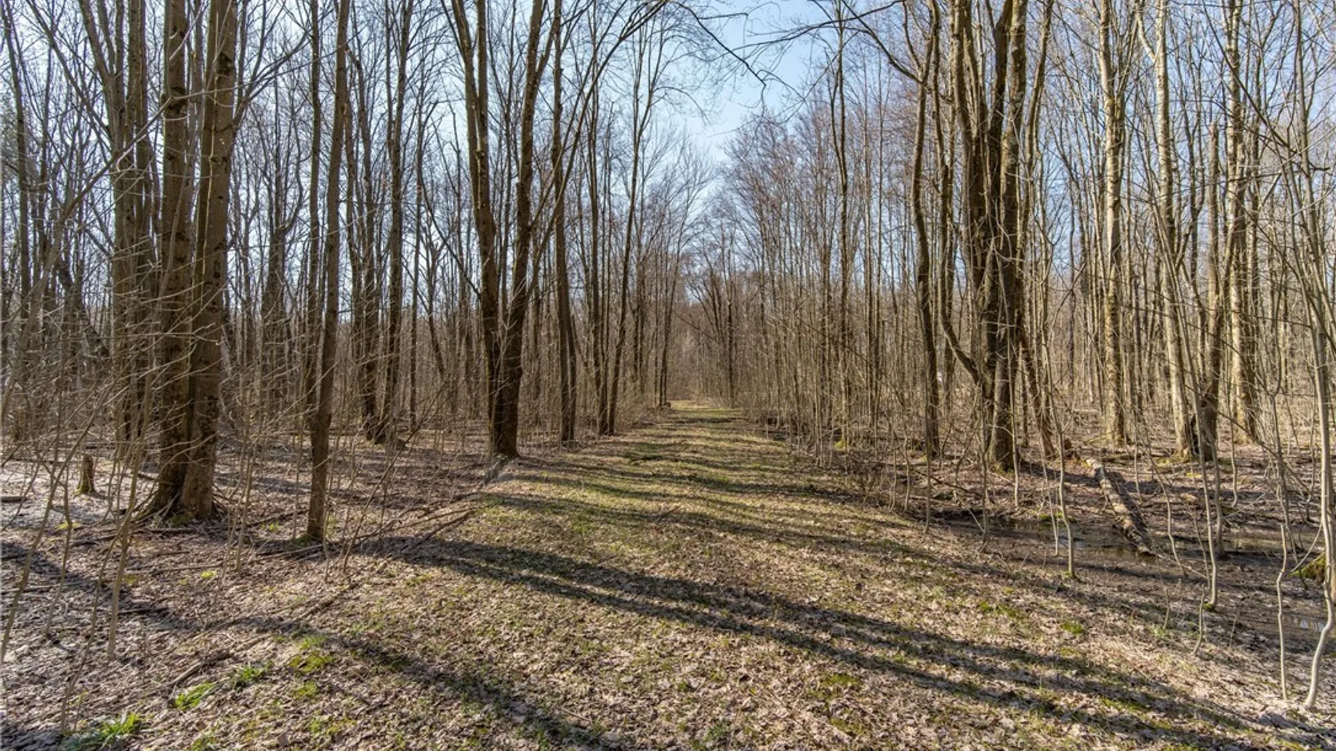 Property at 3675 Salisbury Road, Ellery, NY 14701 5