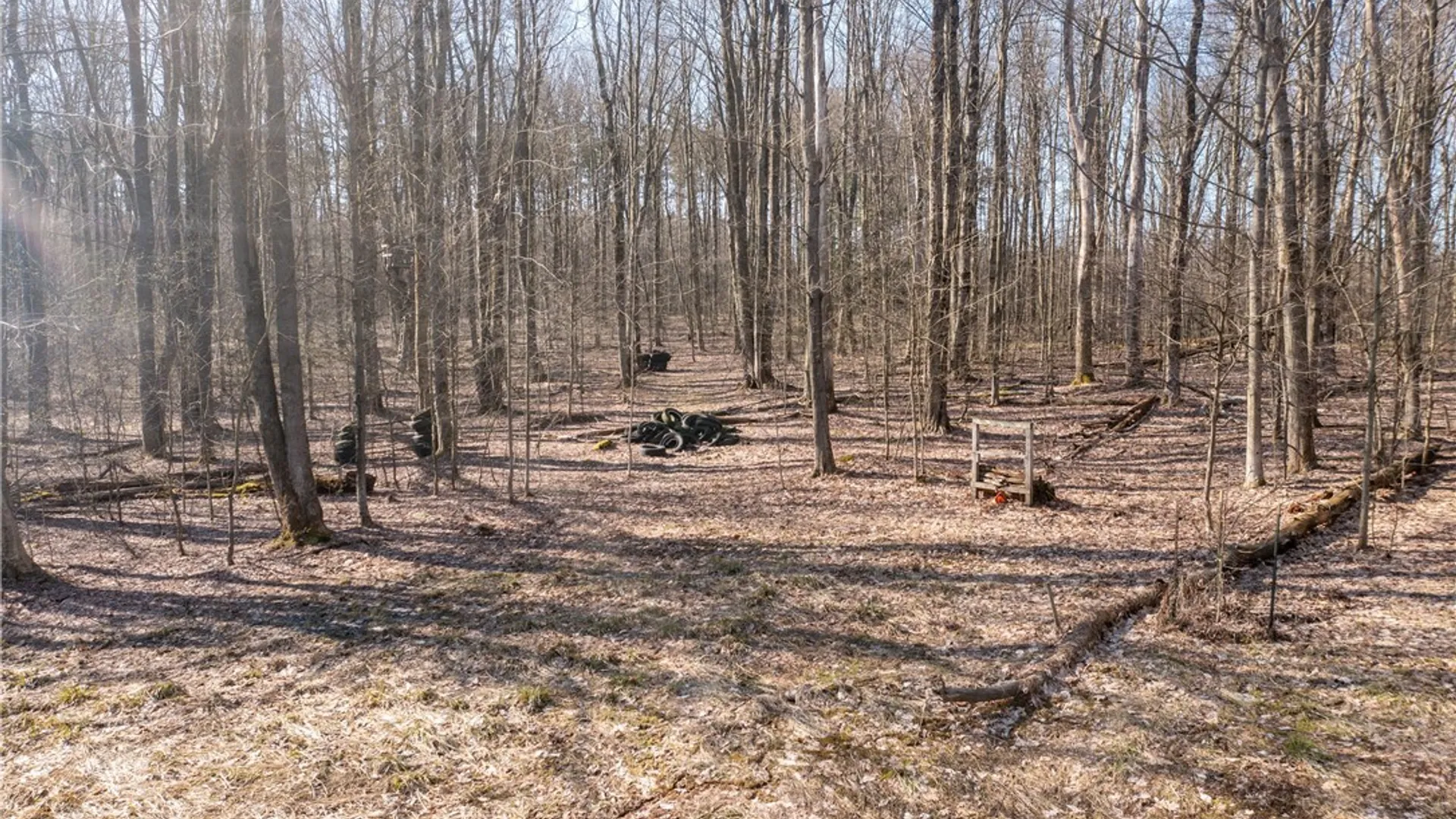 Property at 3675 Salisbury Road, Ellery, NY 14701 8