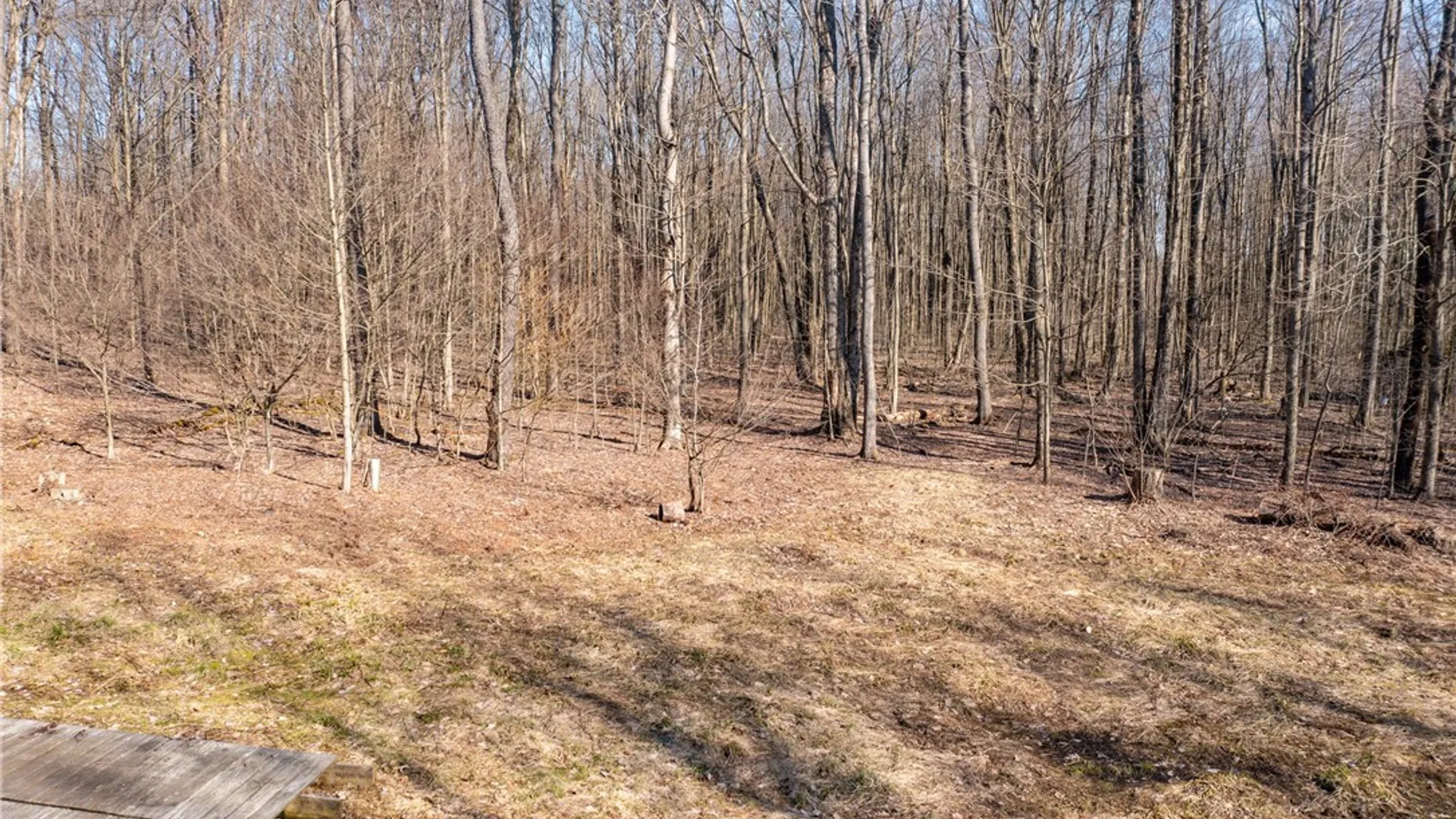 Property at 3675 Salisbury Road, Ellery, NY 14701 9