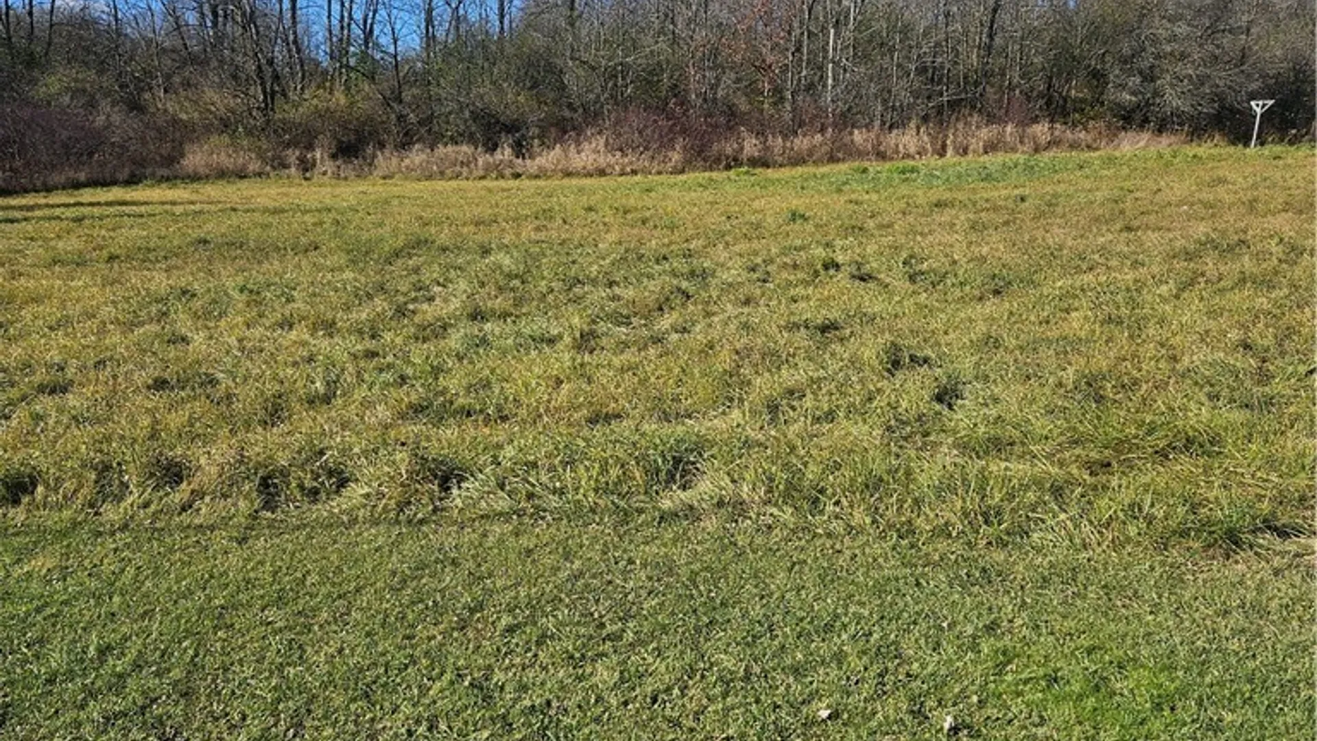 Property at 0000 NYS Rte 180, Orleans, NY 13656 2