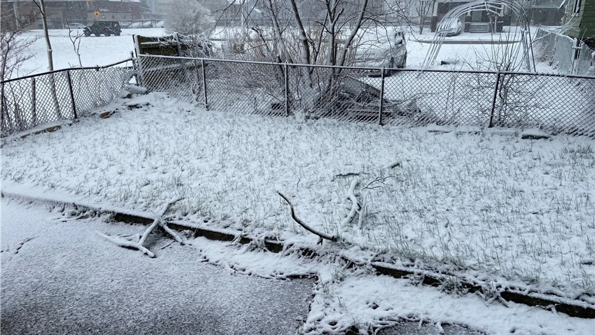 Property at 436 8th Street, Niagara Falls, NY 14301 21