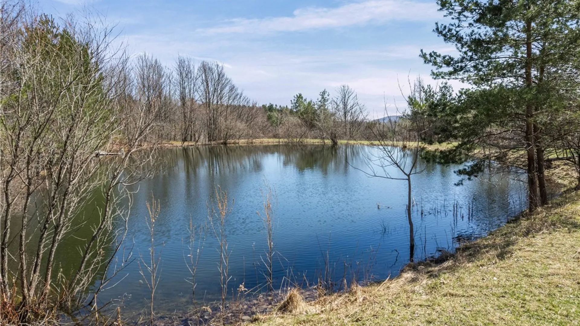 Property at 6561 Gulick Road, South Bristol, NY 14512 3