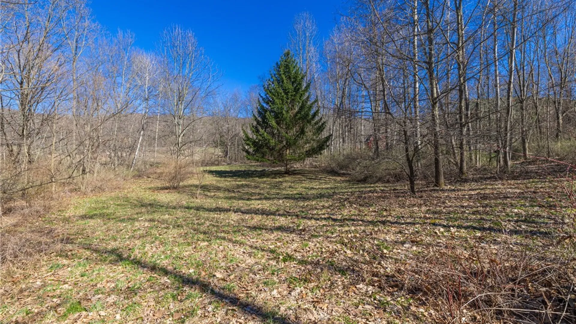 Property at 5200 County Road 33, Bristol, NY 14424 18