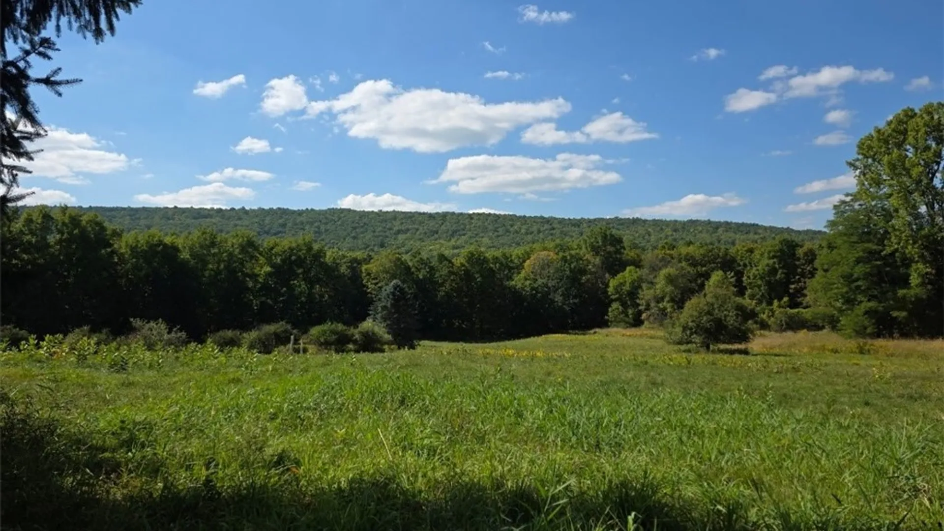 Property at 5200 County Road 33, Bristol, NY 14424 2