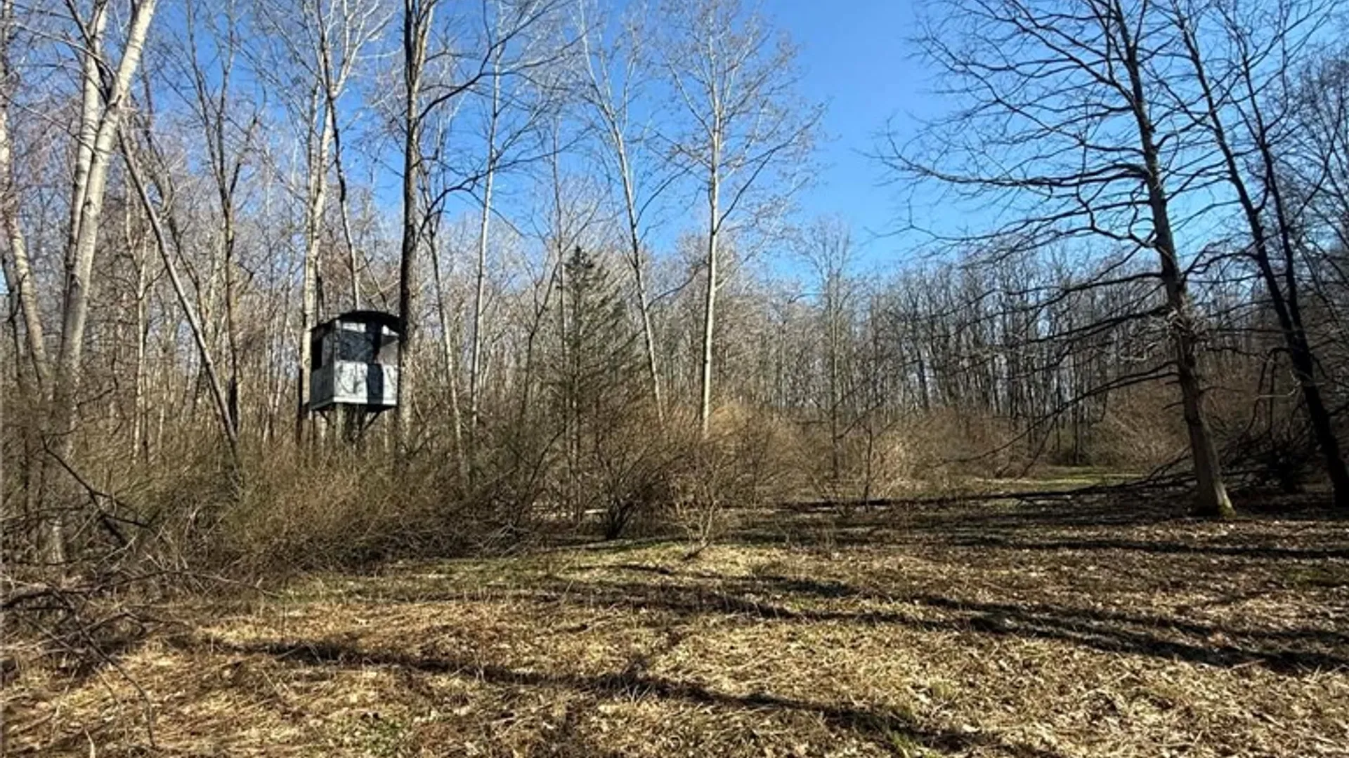 Property at 5200 County Road 33, Bristol, NY 14424 20