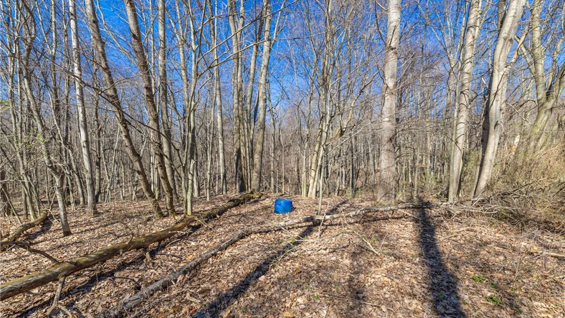 Property at 5200 County Road 33, Bristol, NY 14424 22