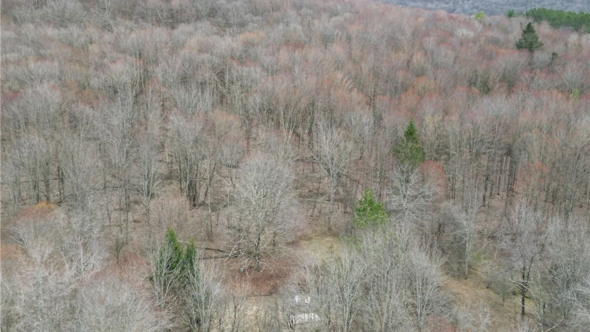 Property at State Highway 28, Andes, NY 13731 10