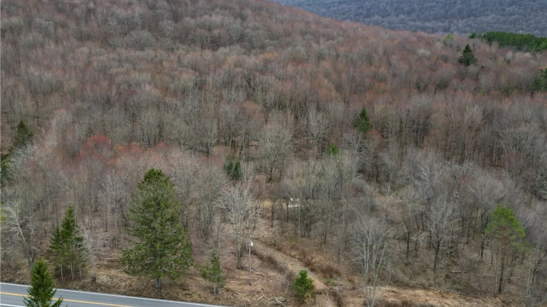 Property at State Highway 28, Andes, NY 13731 11