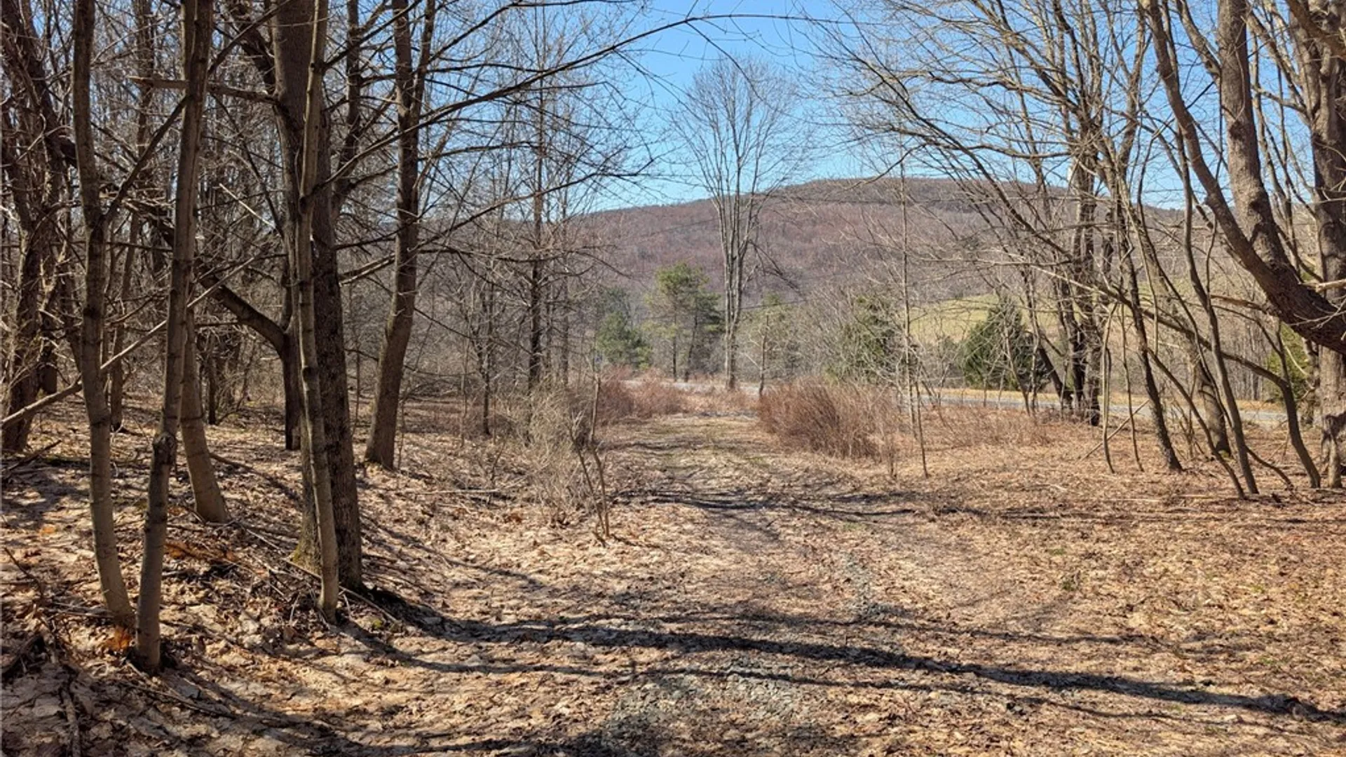Property at State Highway 28, Andes, NY 13731 15