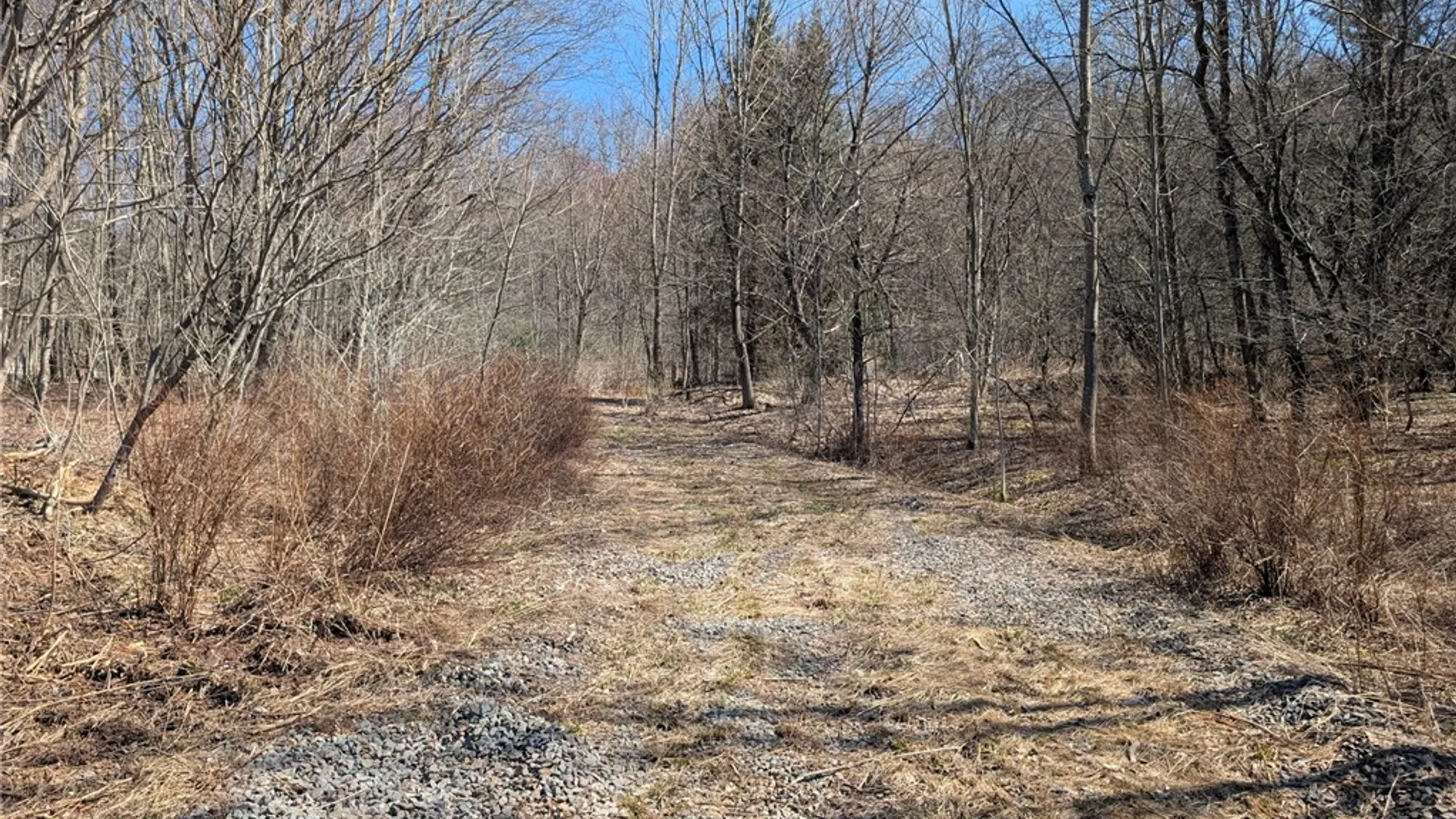 Property at State Highway 28, Andes, NY 13731 3