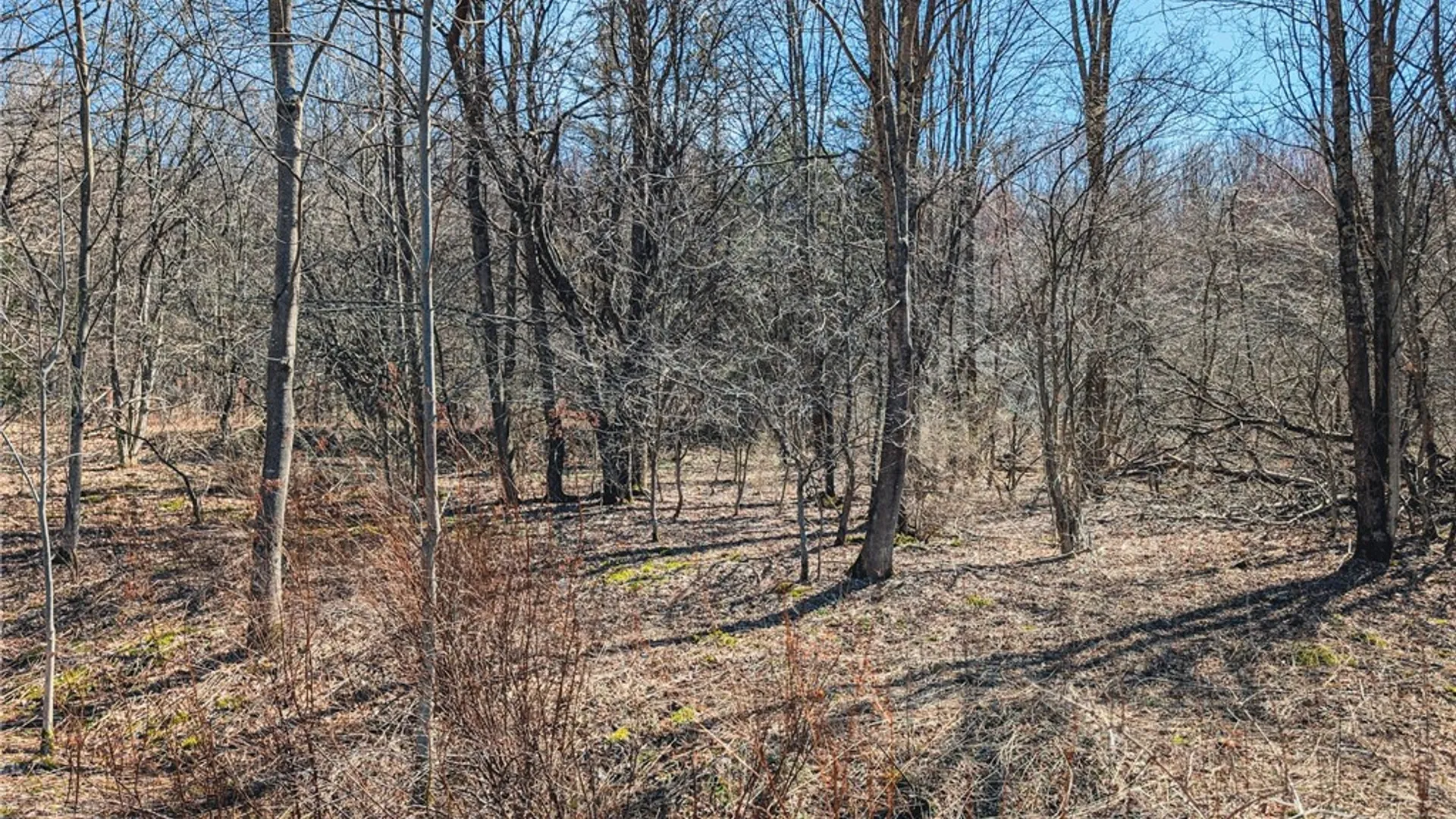 Property at State Highway 28, Andes, NY 13731 4