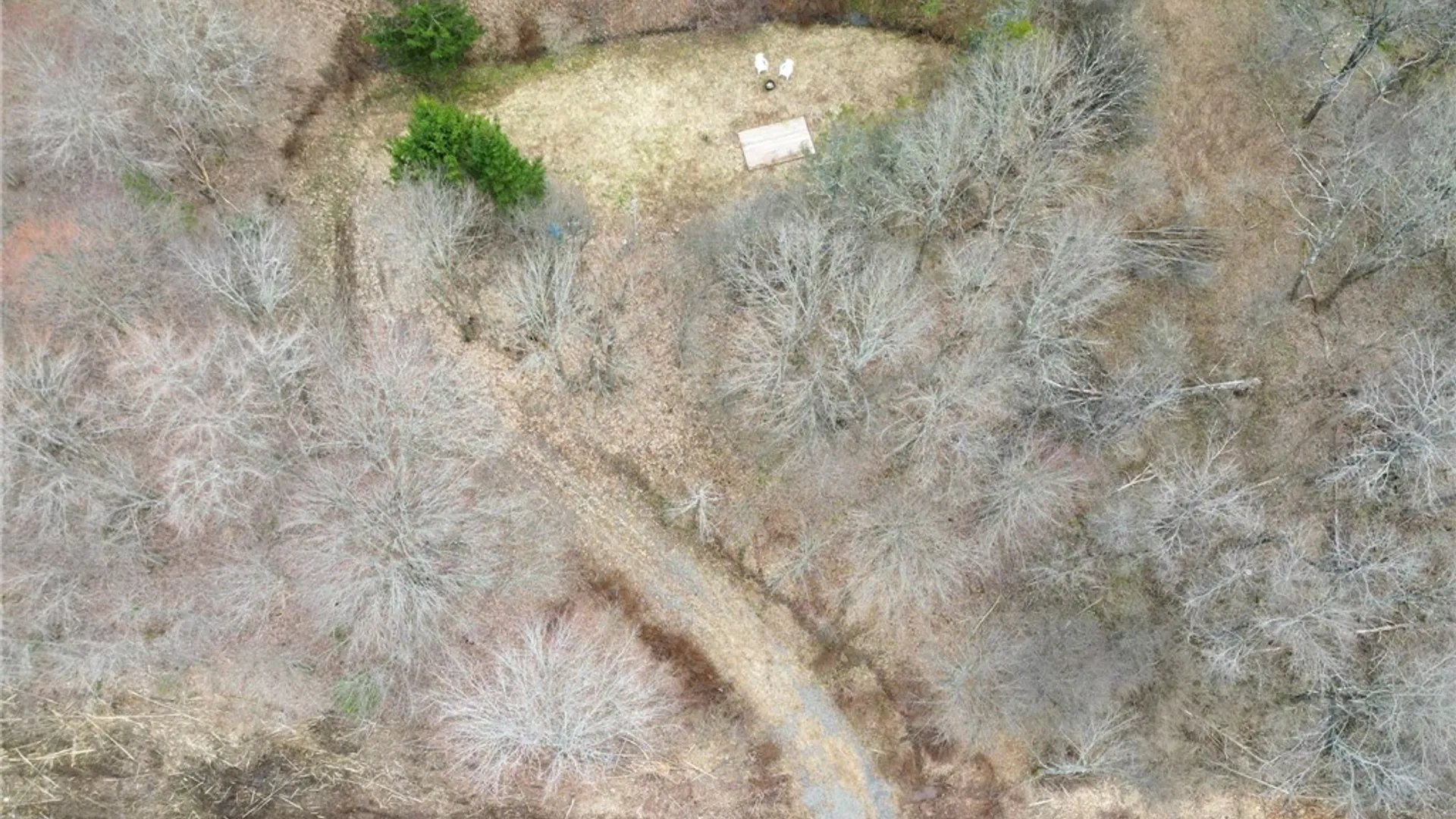 Property at State Highway 28, Andes, NY 13731 6