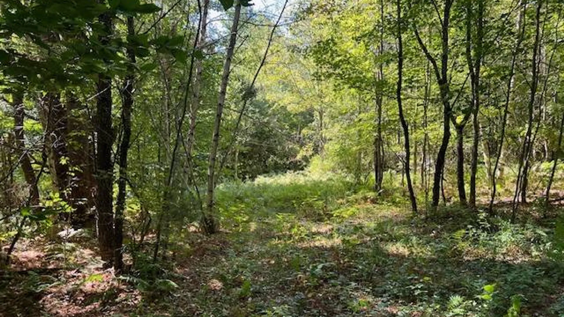 Property at 2070 North Road, Dolgeville, NY 13329 2