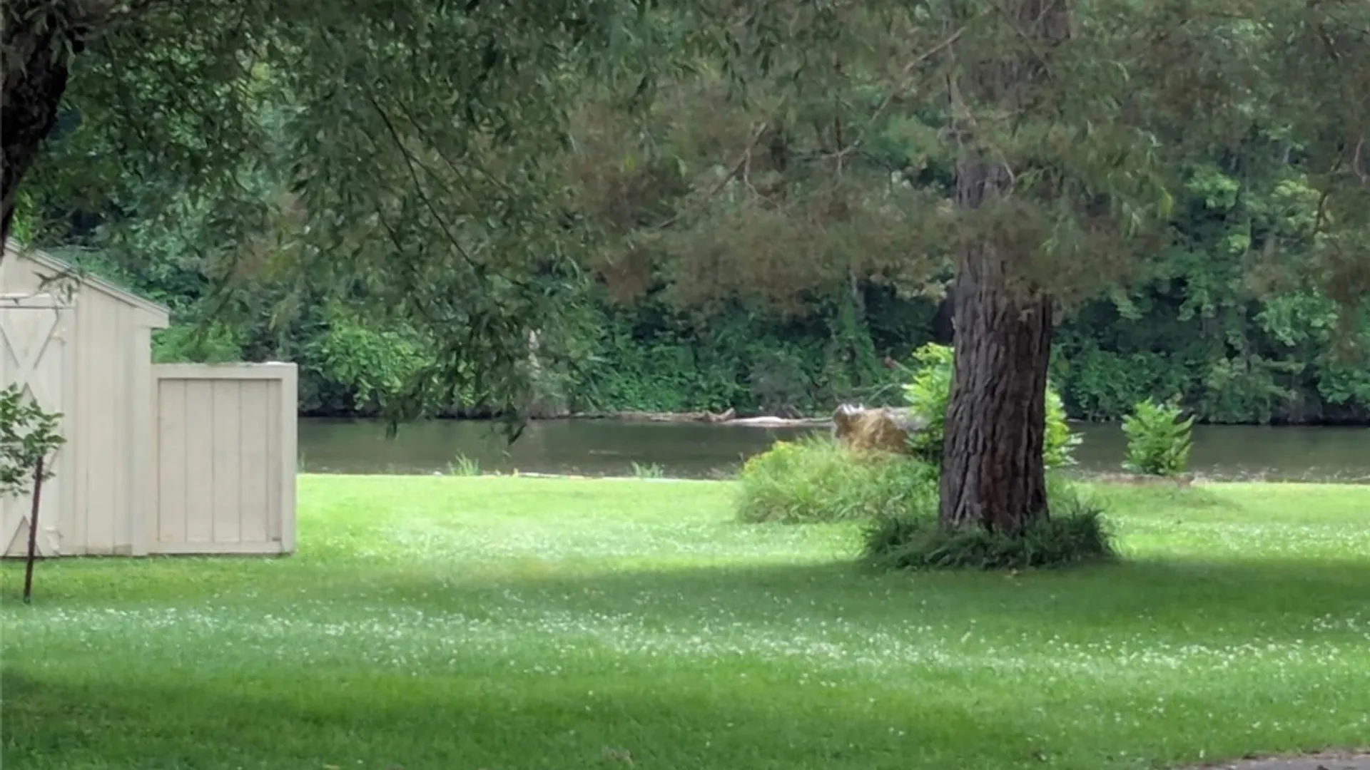 Property at 26 Driftwood Lane, Vienna, NY 13157 34