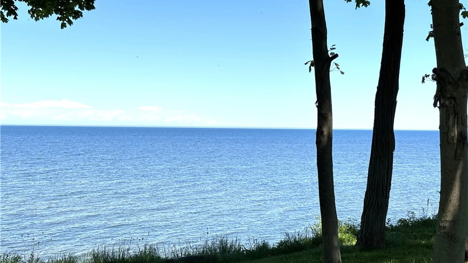 Property at 236 Danielle Lane, Kendall, NY 14464 34