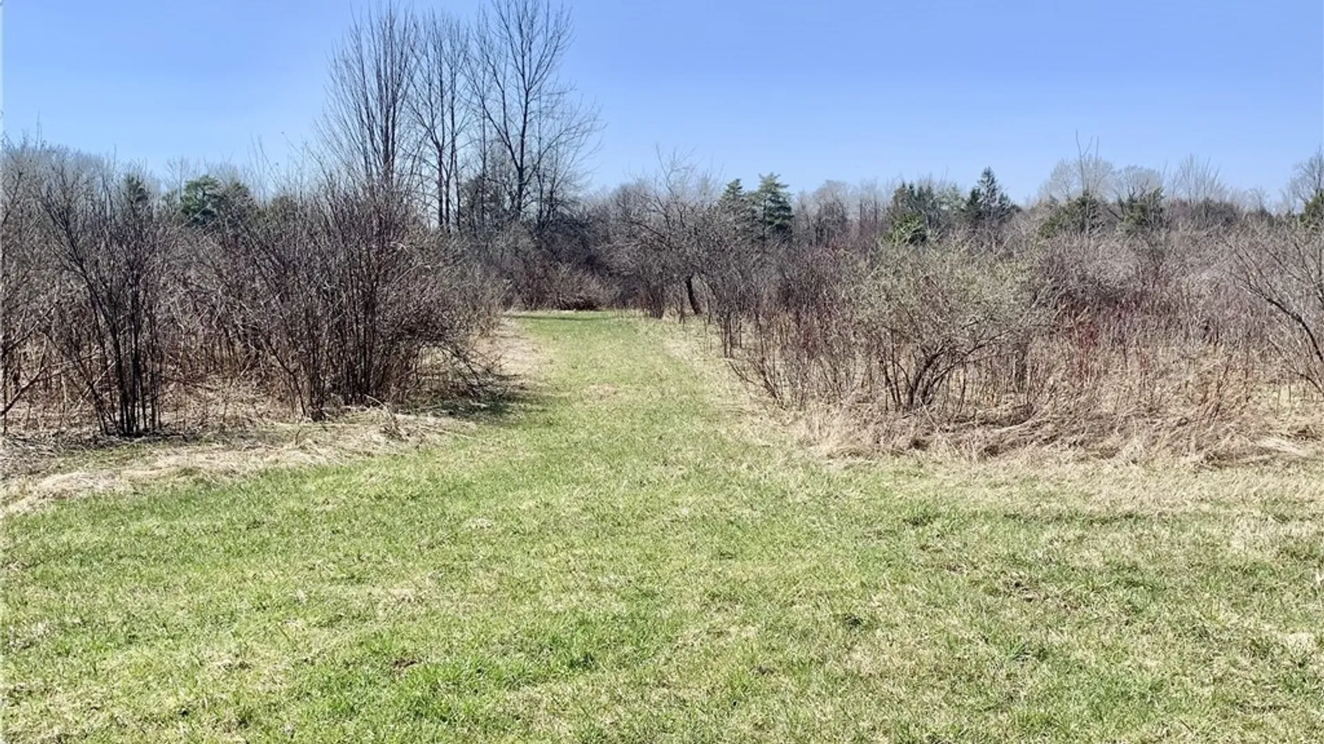 Property at 6320 Stinson Road, Arcade, NY 14009 10