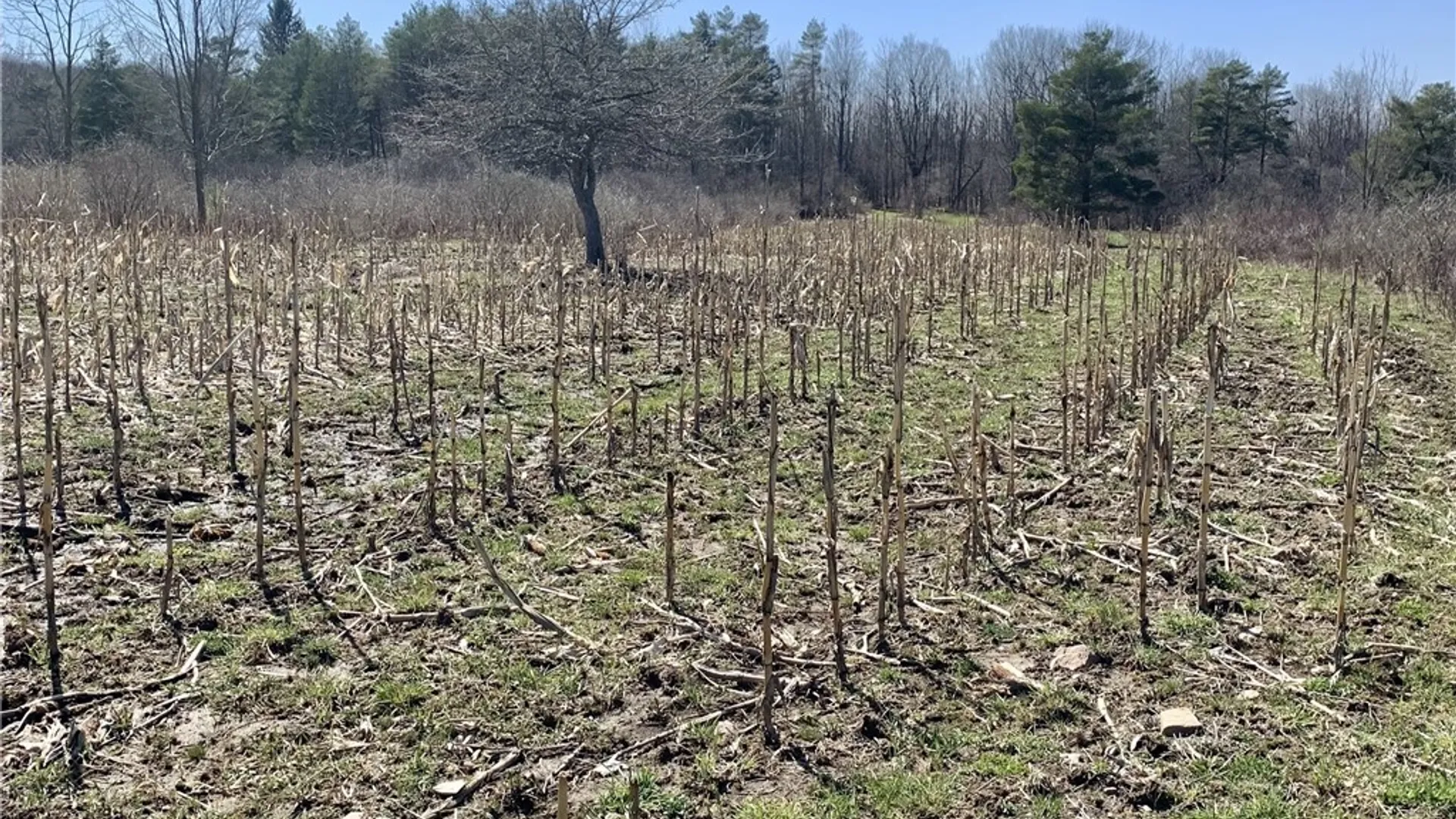 Property at 6320 Stinson Road, Arcade, NY 14009 13