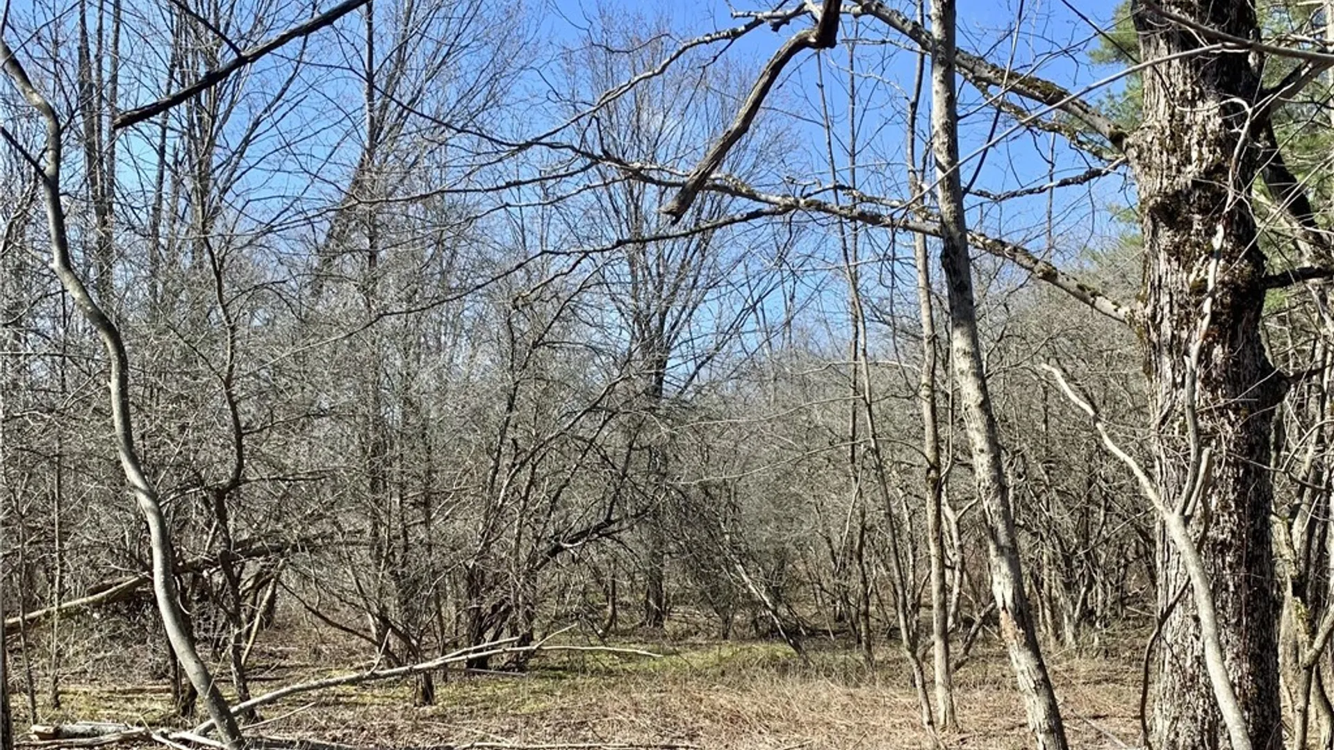 Property at 6320 Stinson Road, Arcade, NY 14009 16