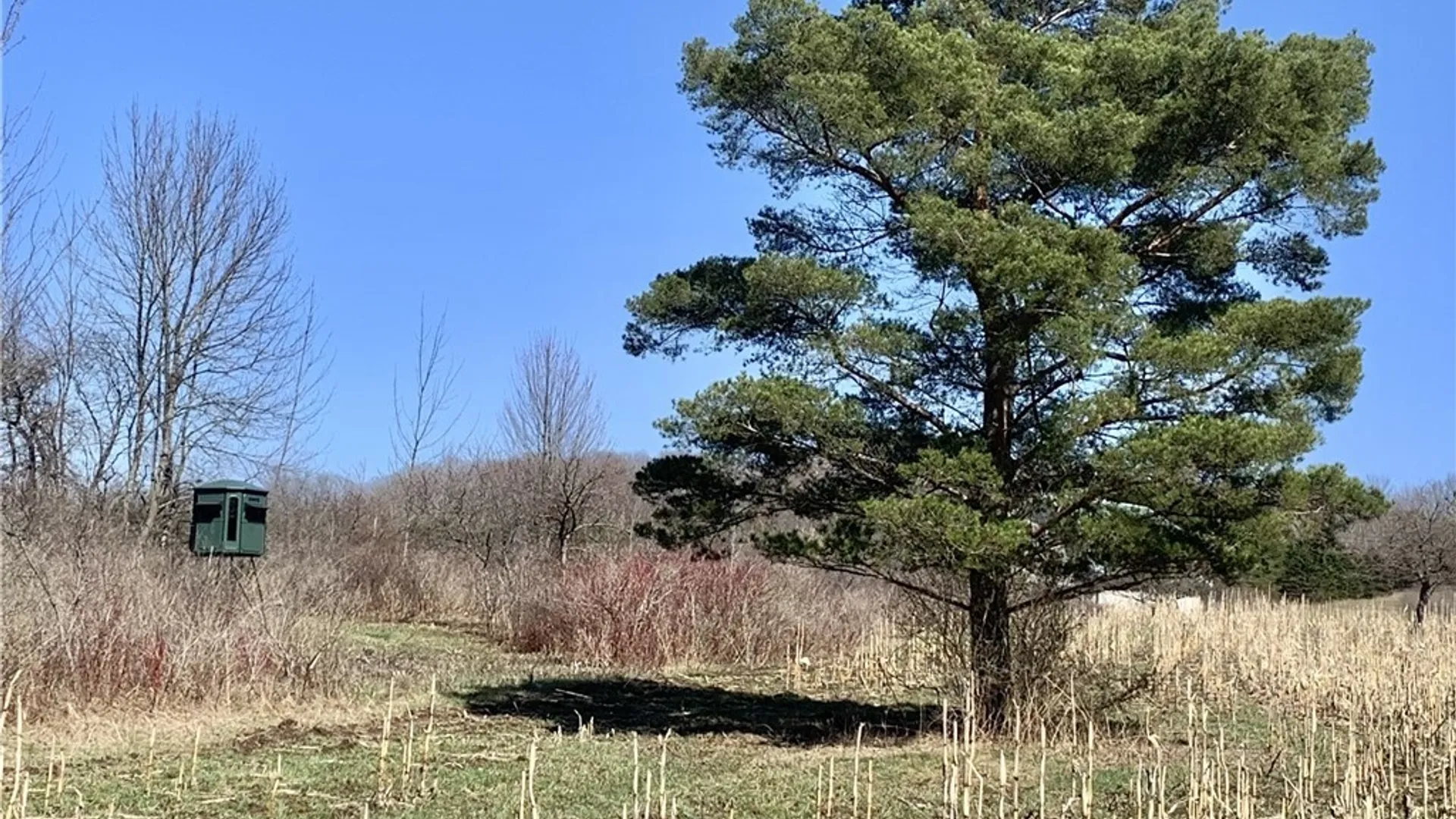 Property at 6320 Stinson Road, Arcade, NY 14009 18