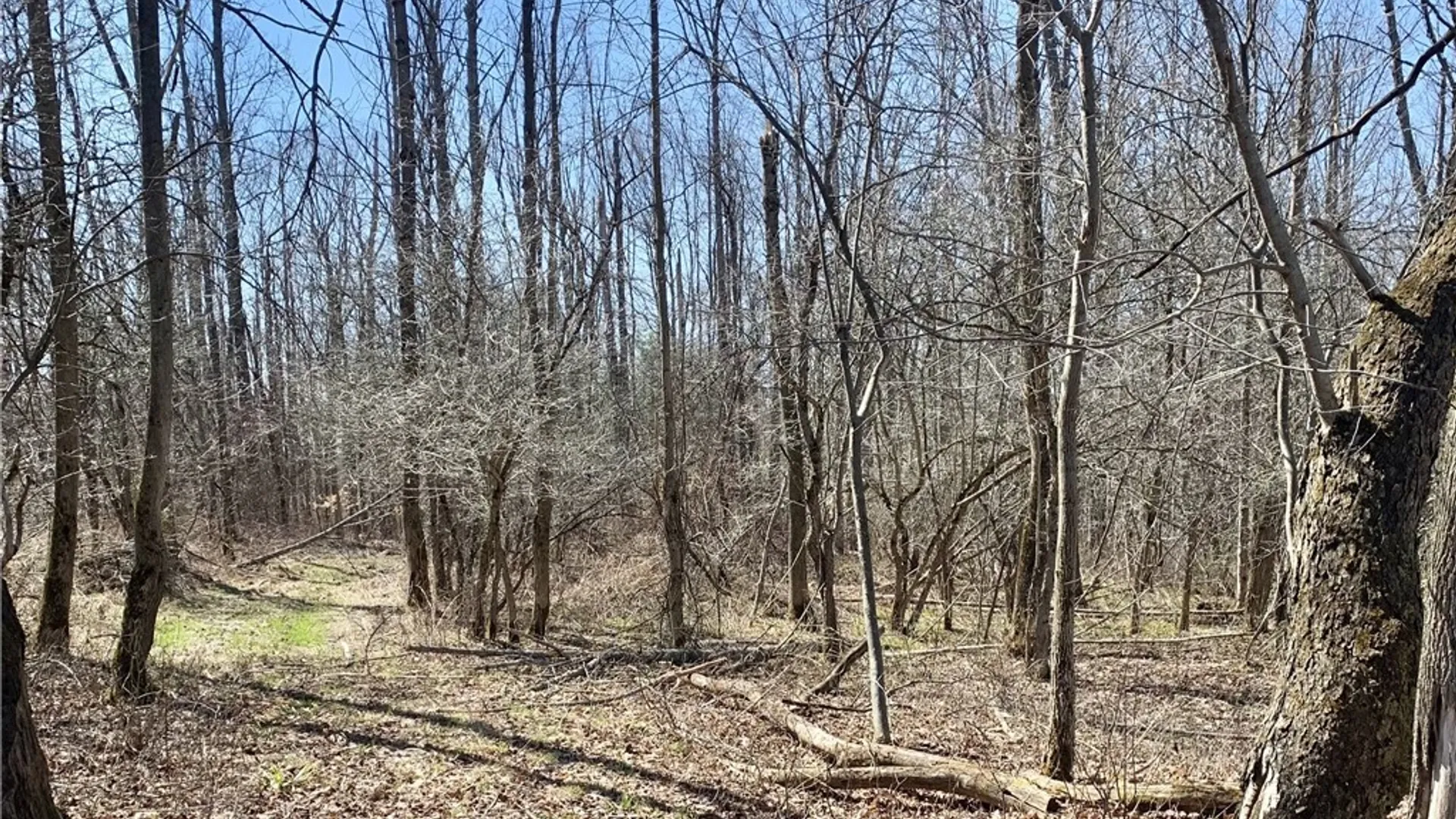 Property at 6320 Stinson Road, Arcade, NY 14009 2