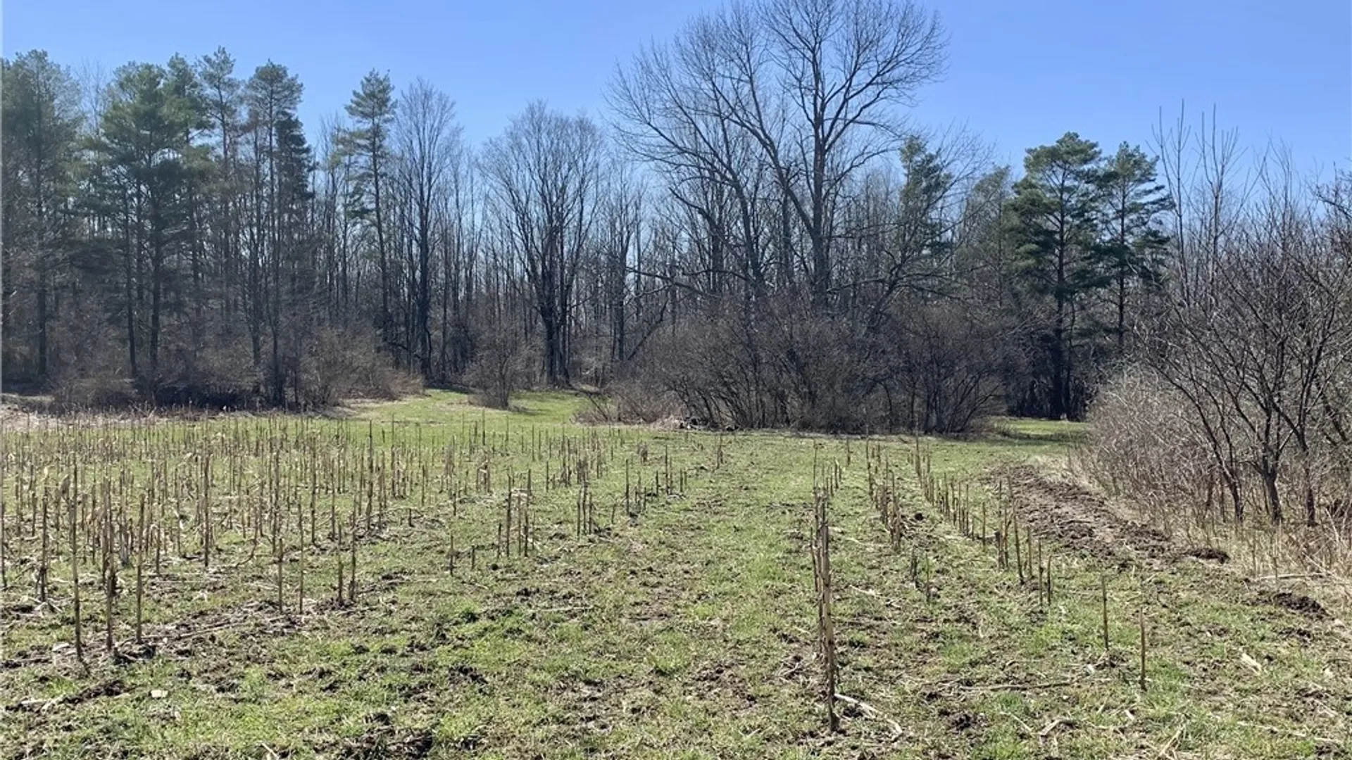 Property at 6320 Stinson Road, Arcade, NY 14009 4