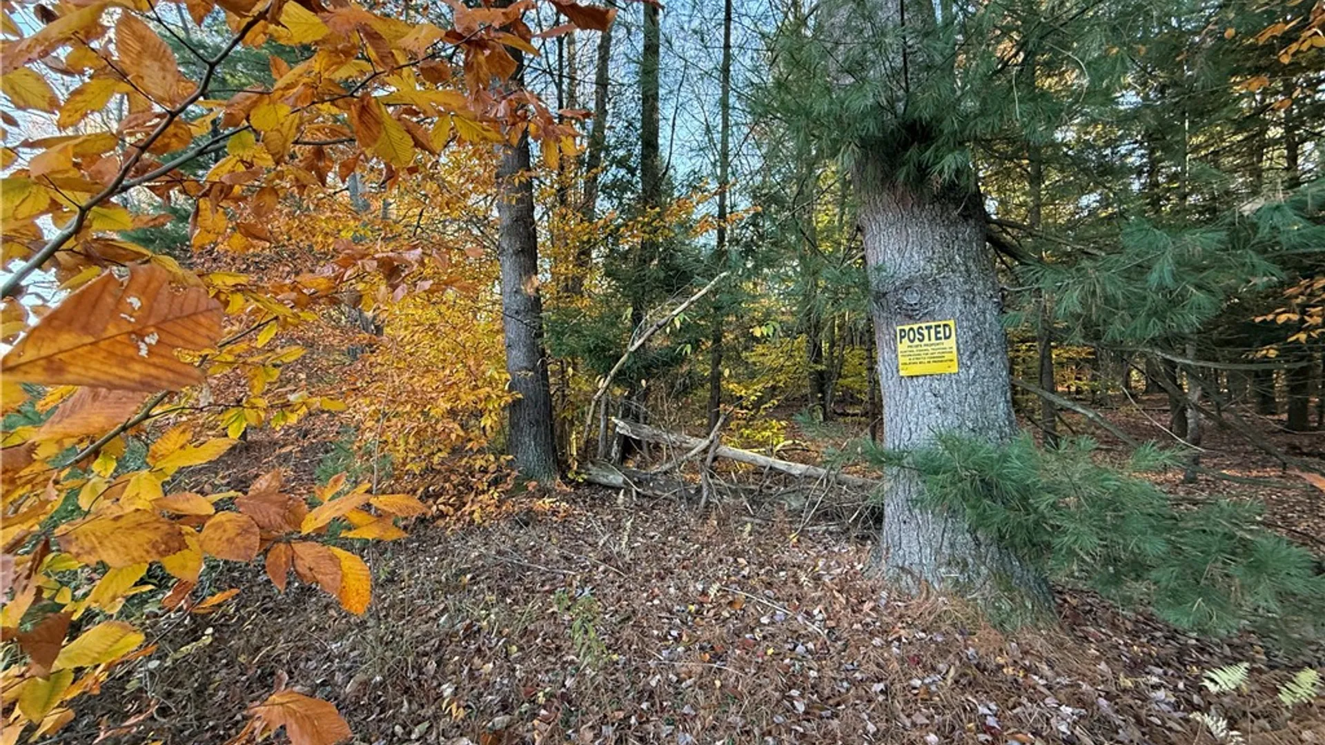 Property at Co Rt 23, Constantia, NY 13044 12