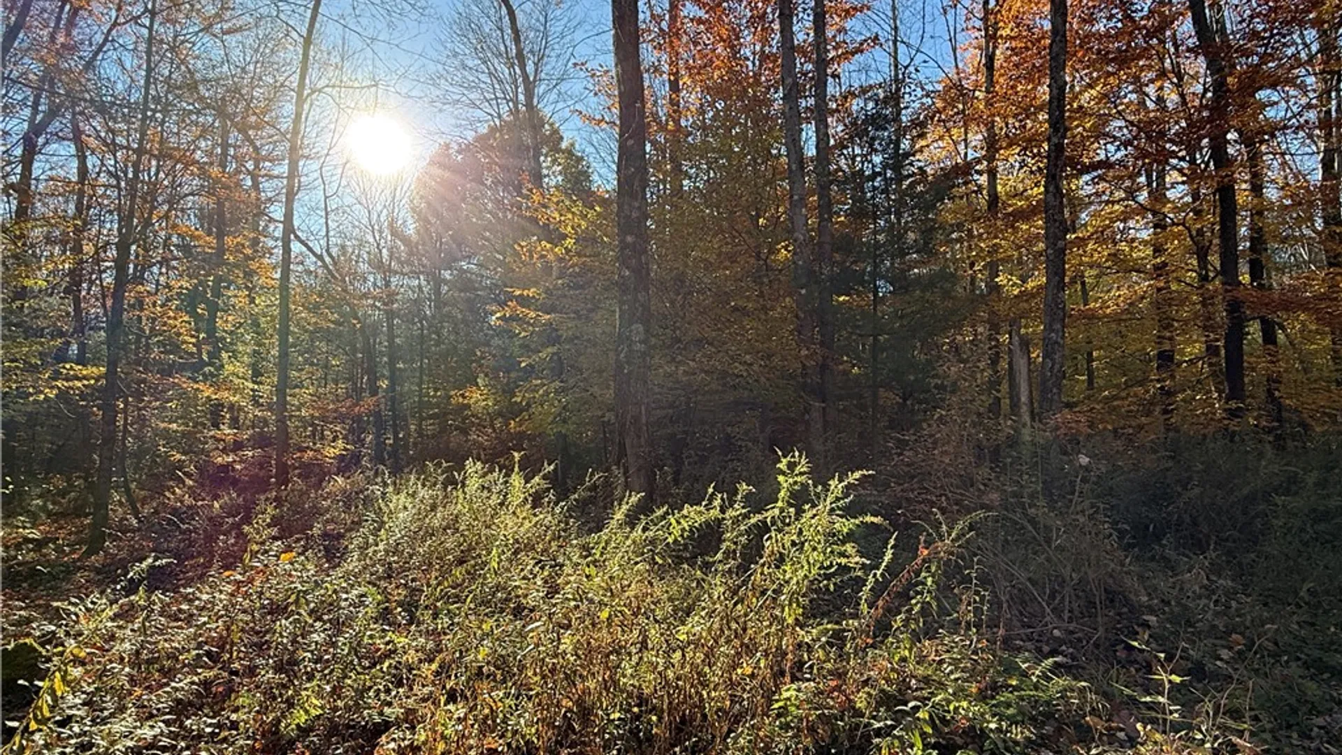 Property at Co Rt 23, Constantia, NY 13044 14