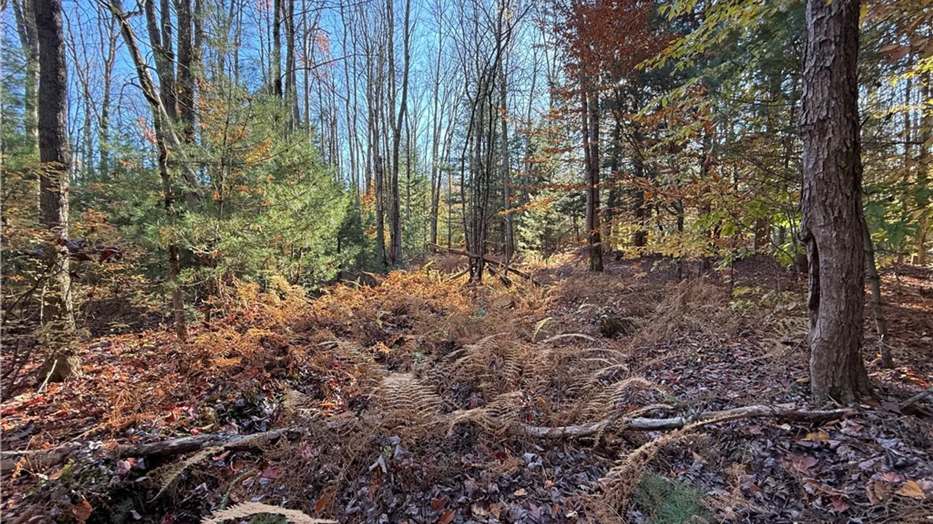 Property at Co Rt 23, Constantia, NY 13044 15