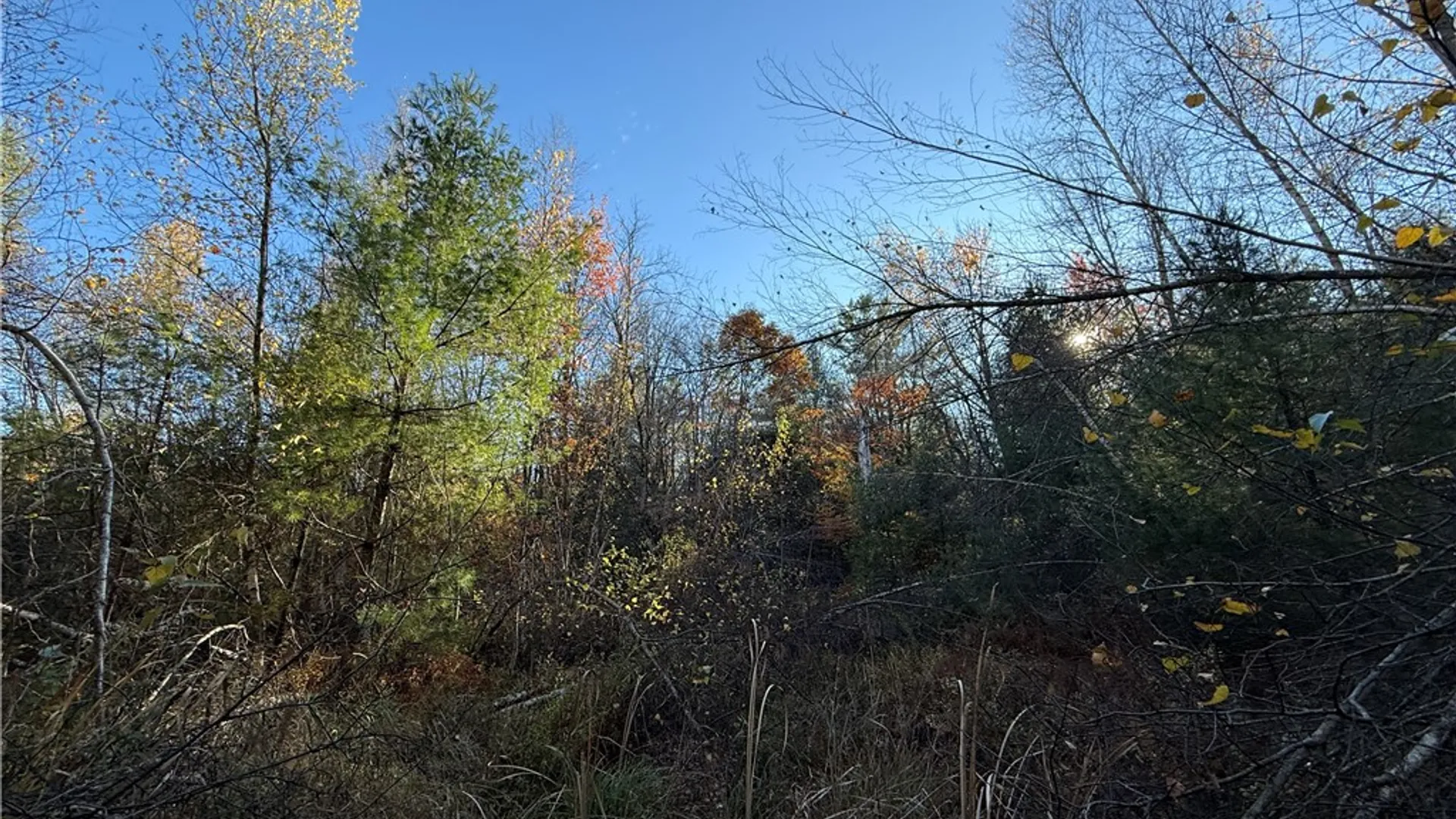 Property at Co Rt 23, Constantia, NY 13044 16