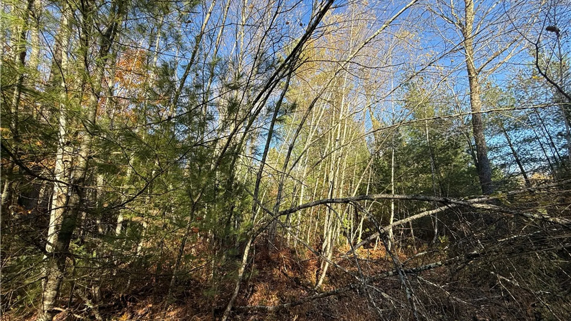 Property at Co Rt 23, Constantia, NY 13044 17