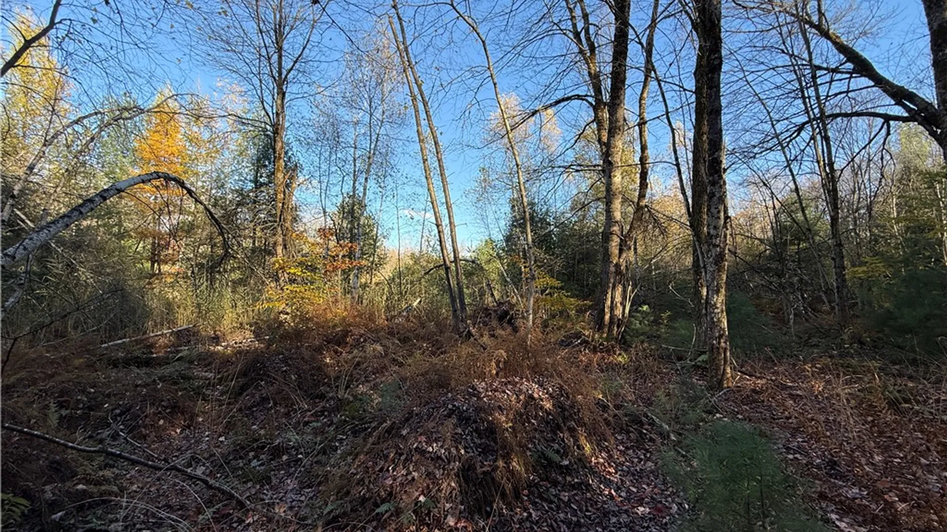 Property at Co Rt 23, Constantia, NY 13044 19