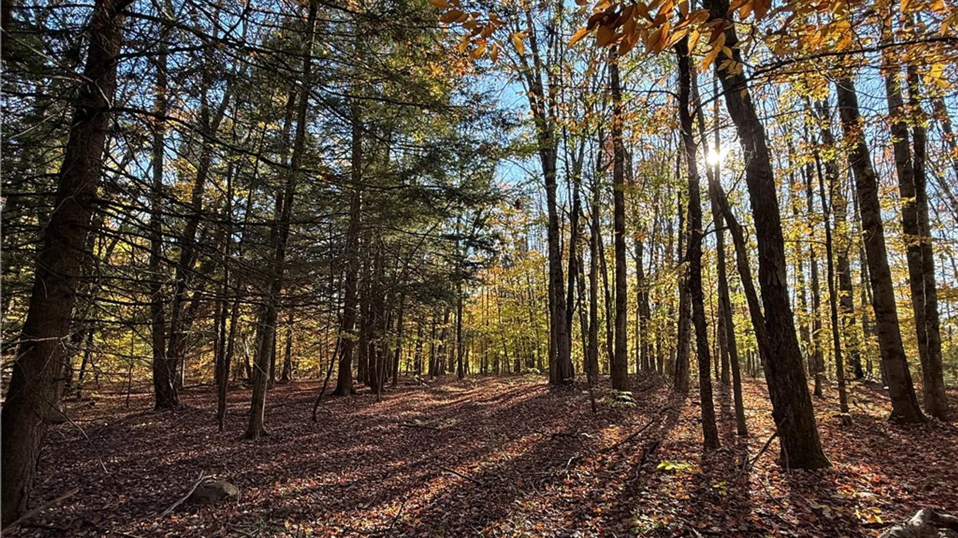 Property at Co Rt 23, Constantia, NY 13044 2