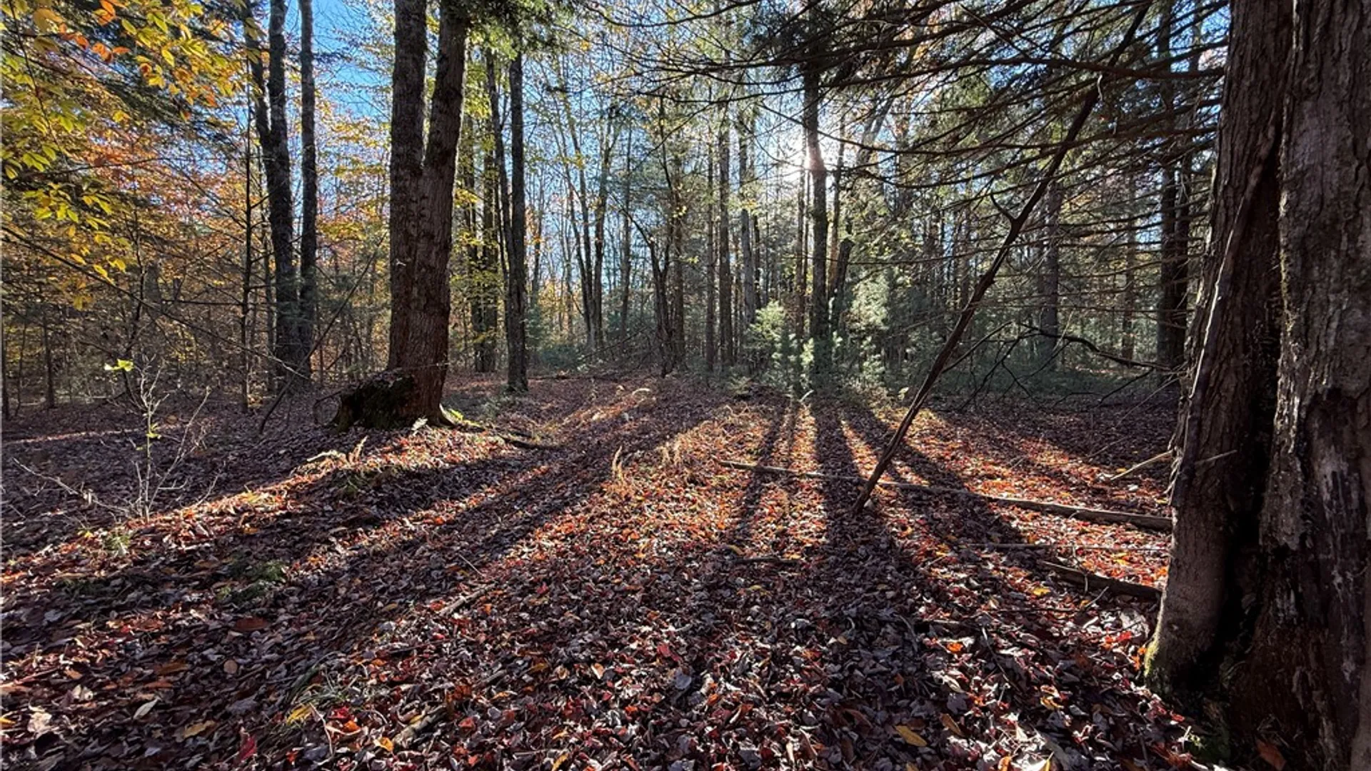 Property at Co Rt 23, Constantia, NY 13044 20