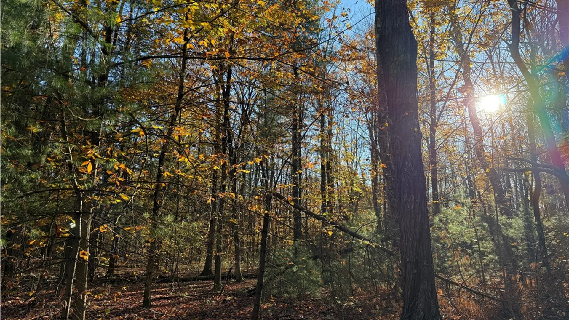 Property at Co Rt 23, Constantia, NY 13044 22