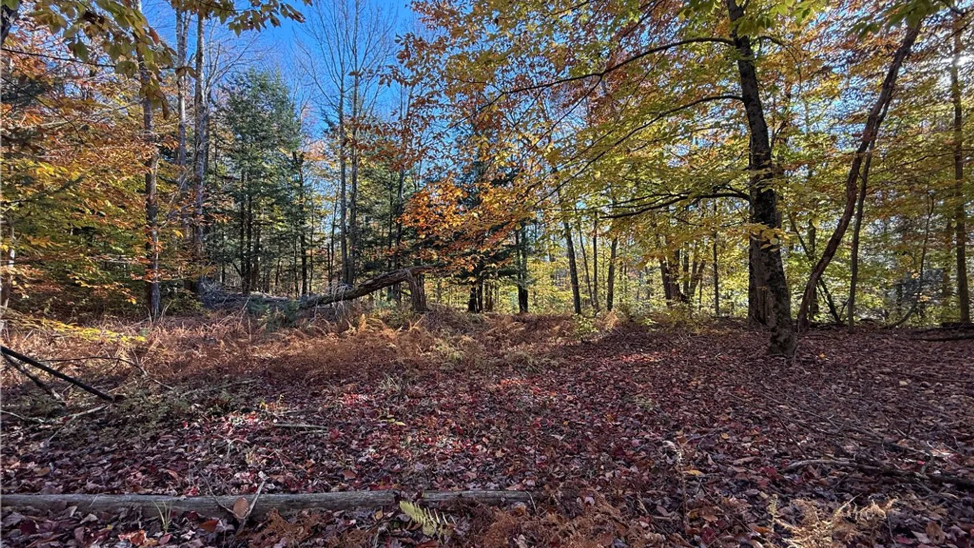 Property at Co Rt 23, Constantia, NY 13044 25