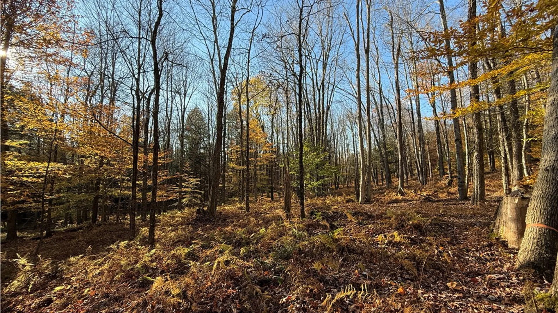 Property at Co Rt 23, Constantia, NY 13044 27