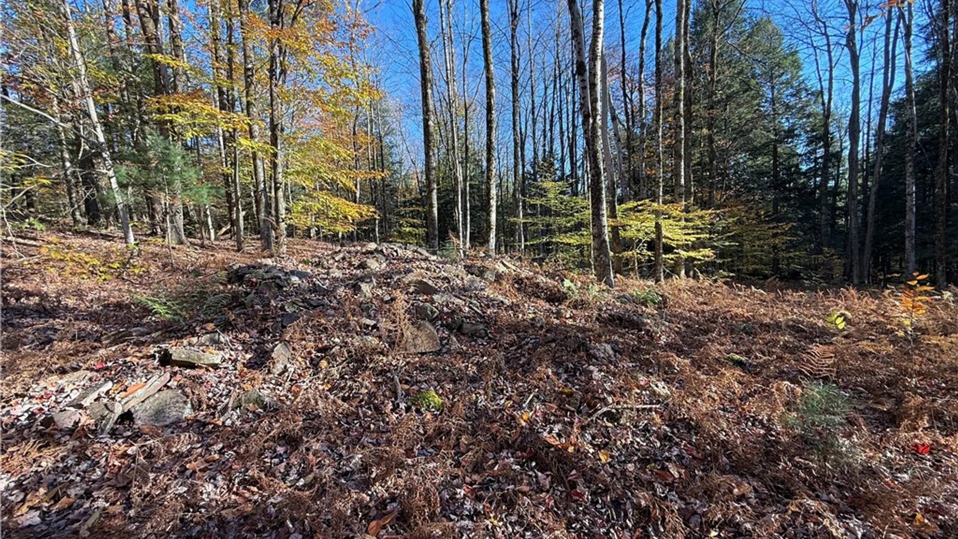 Property at Co Rt 23, Constantia, NY 13044 28