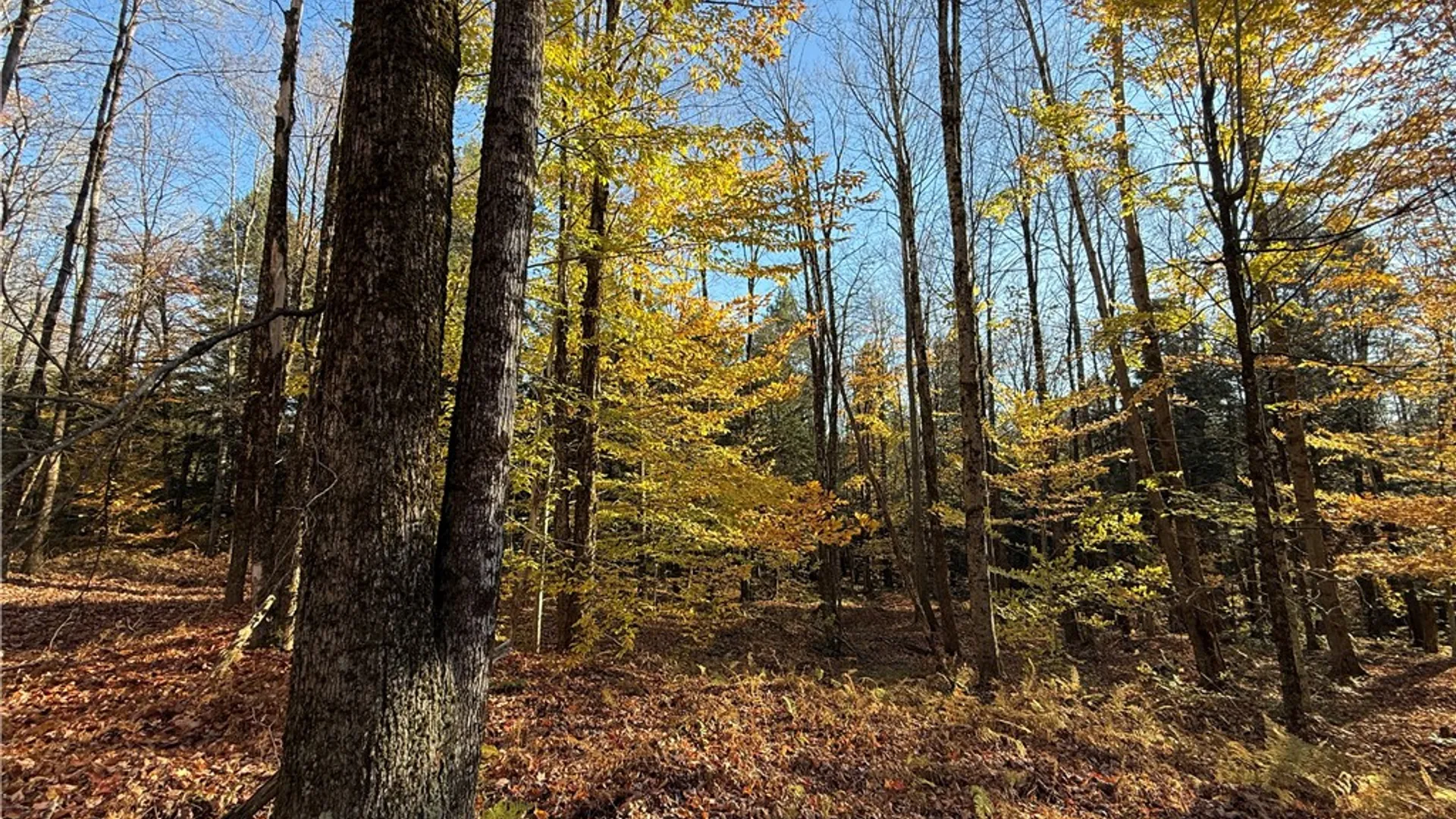 Property at Co Rt 23, Constantia, NY 13044 29