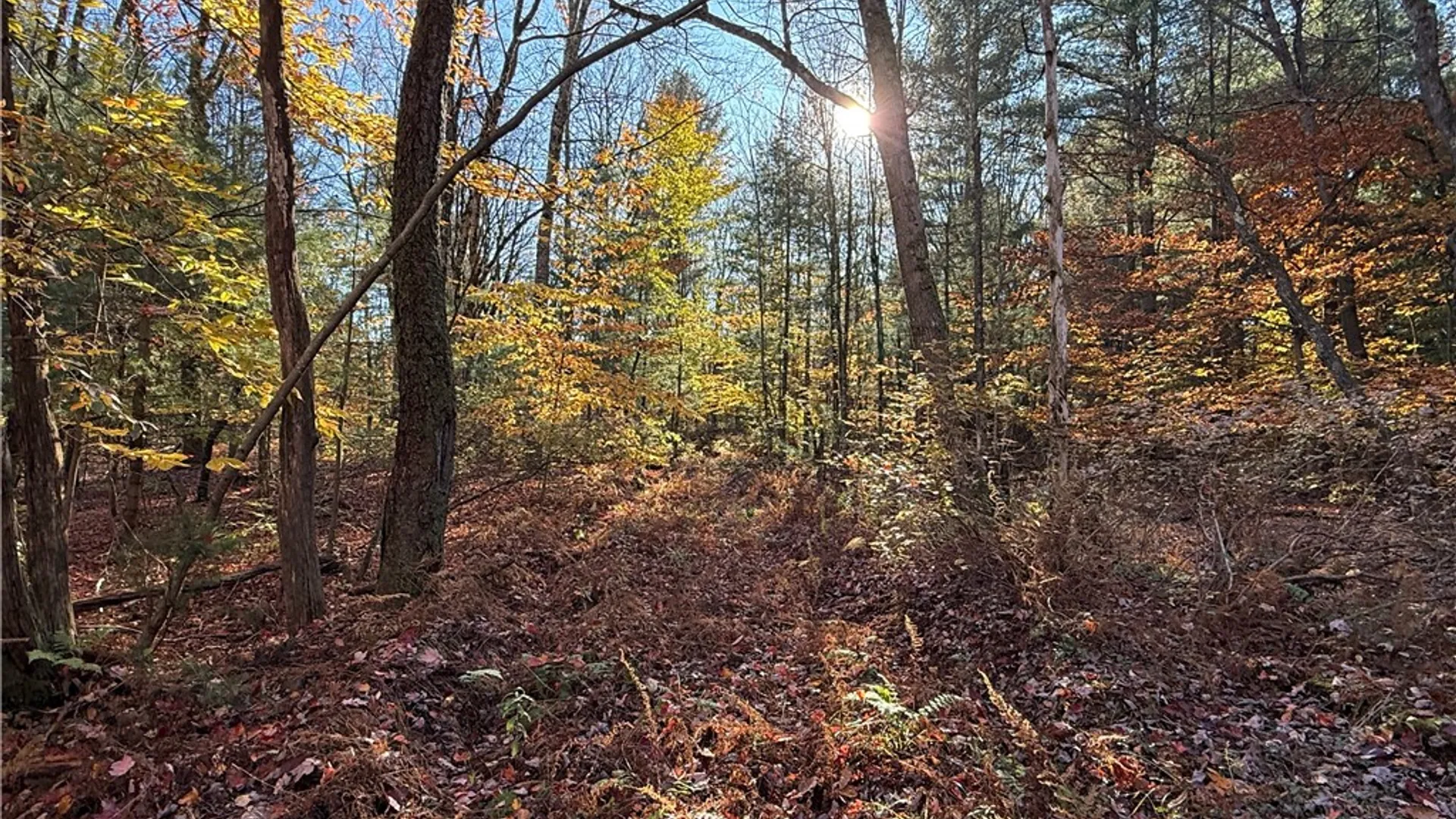 Property at Co Rt 23, Constantia, NY 13044 3