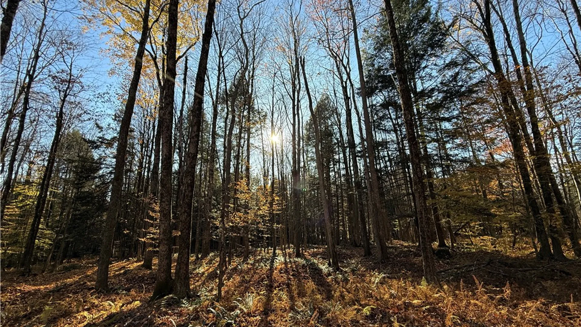 Property at Co Rt 23, Constantia, NY 13044 30