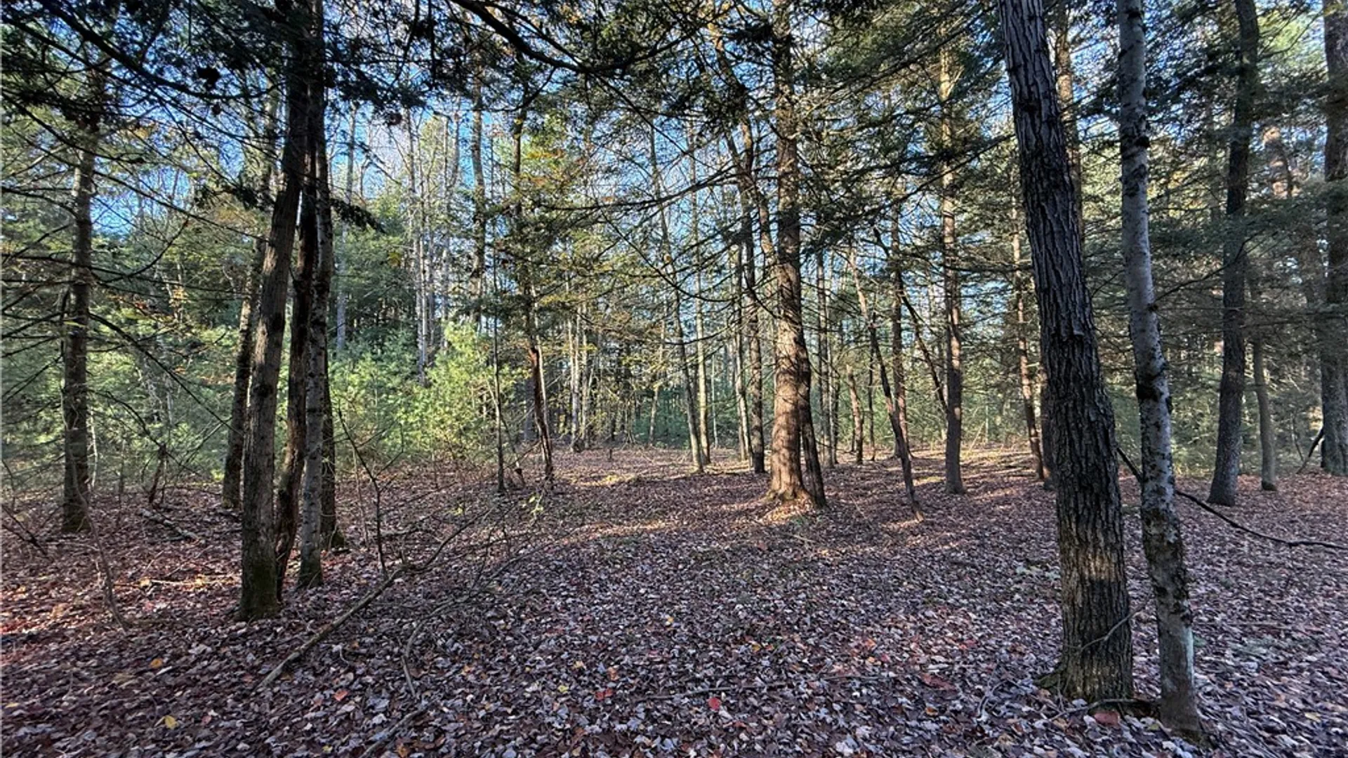 Property at Co Rt 23, Constantia, NY 13044 32