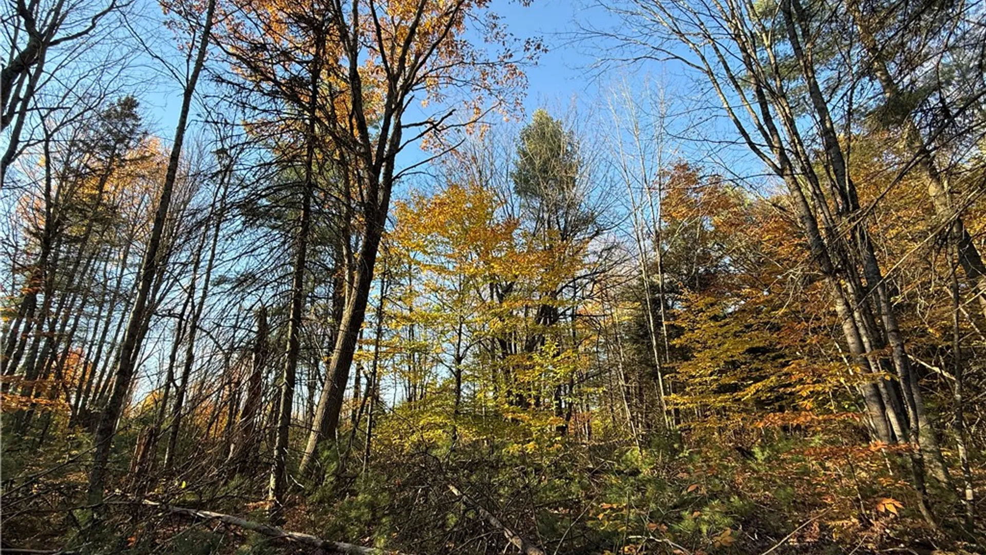 Property at Co Rt 23, Constantia, NY 13044 34