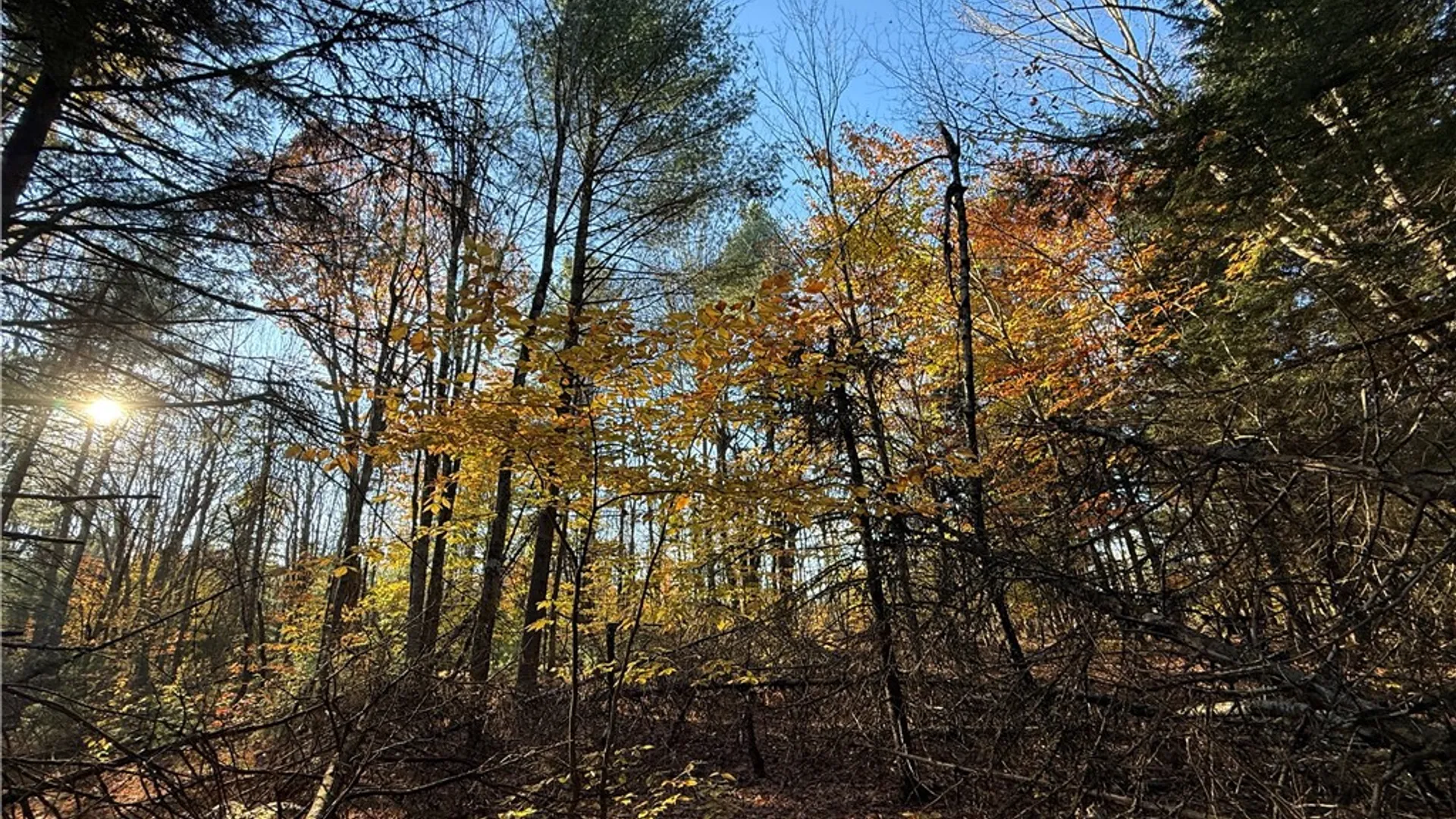 Property at Co Rt 23, Constantia, NY 13044 35