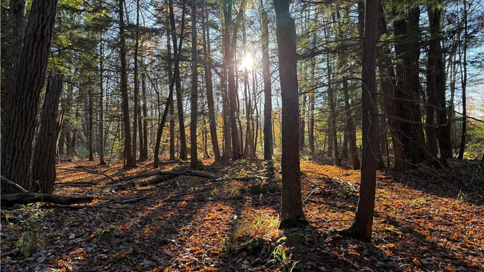 Property at Co Rt 23, Constantia, NY 13044 36