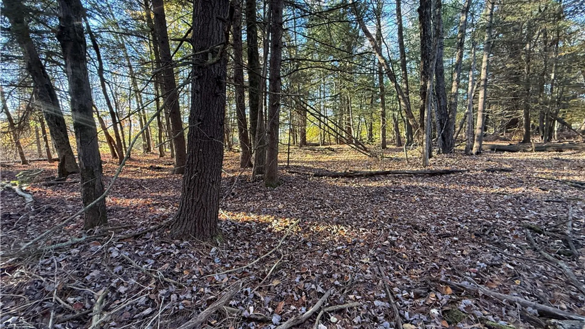 Property at Co Rt 23, Constantia, NY 13044 37