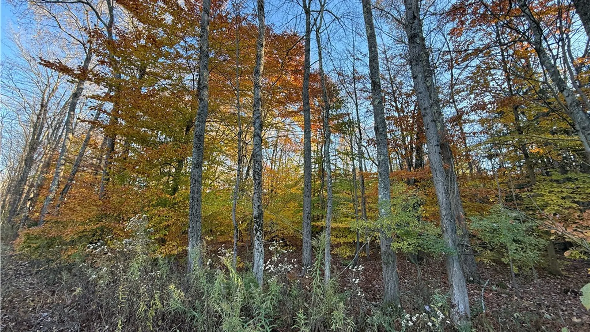 Property at Co Rt 23, Constantia, NY 13044 38