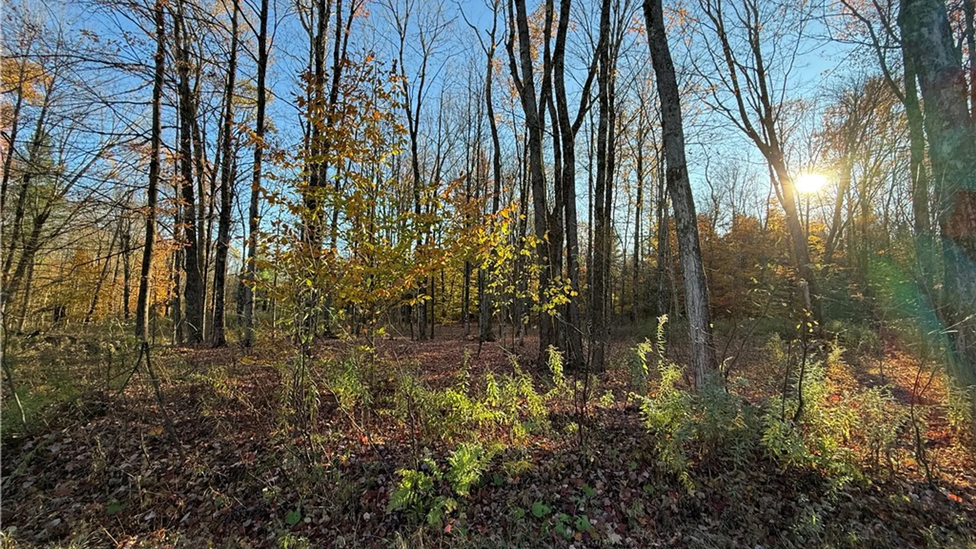 Property at Co Rt 23, Constantia, NY 13044 39