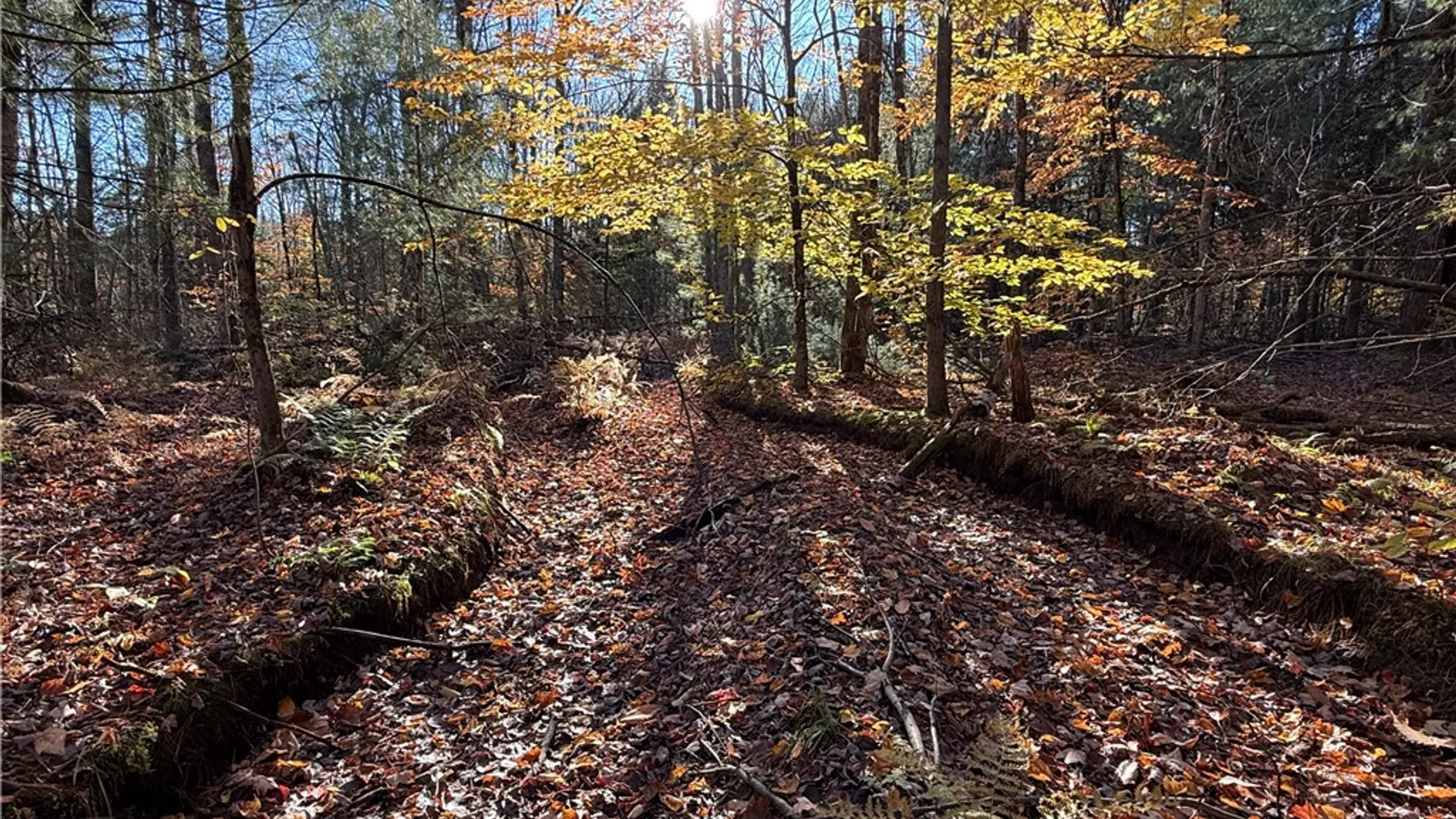 Property at Co Rt 23, Constantia, NY 13044 4