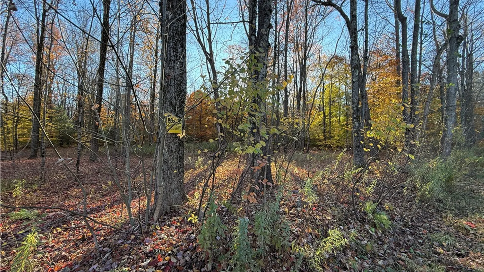 Property at Co Rt 23, Constantia, NY 13044 40