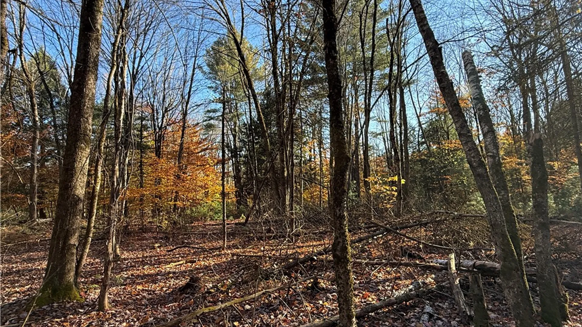 Property at Co Rt 23, Constantia, NY 13044 5